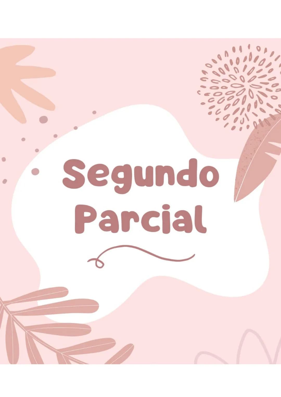 Segundo
Parcial Herramientas
CAPÍTULO 6: Democracias Delegativas
SURGIMIENTO DE LAS DEMOCRACIAS DELEGATIVAS
Durante el siglo XX las crisis e