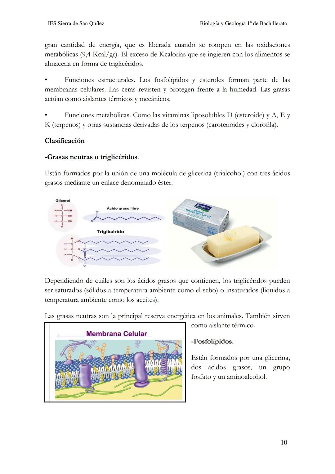 BIOLOGÍA Y
GEOLOGÍA 1º DE
BACHILLERATO
Bioelementos y biomoléculas:
composición química de la vida
IES Sierra de San Quílez
(Binéfar-Huesca)
