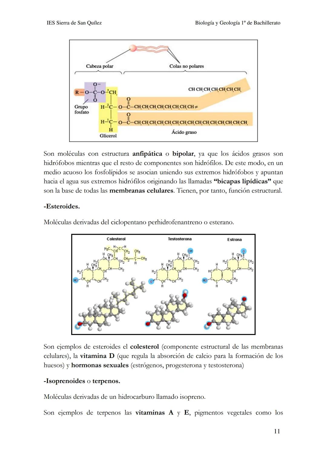 BIOLOGÍA Y
GEOLOGÍA 1º DE
BACHILLERATO
Bioelementos y biomoléculas:
composición química de la vida
IES Sierra de San Quílez
(Binéfar-Huesca)