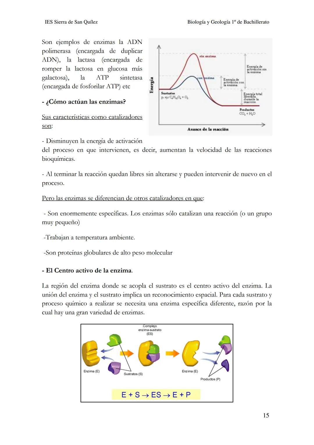 BIOLOGÍA Y
GEOLOGÍA 1º DE
BACHILLERATO
Bioelementos y biomoléculas:
composición química de la vida
IES Sierra de San Quílez
(Binéfar-Huesca)