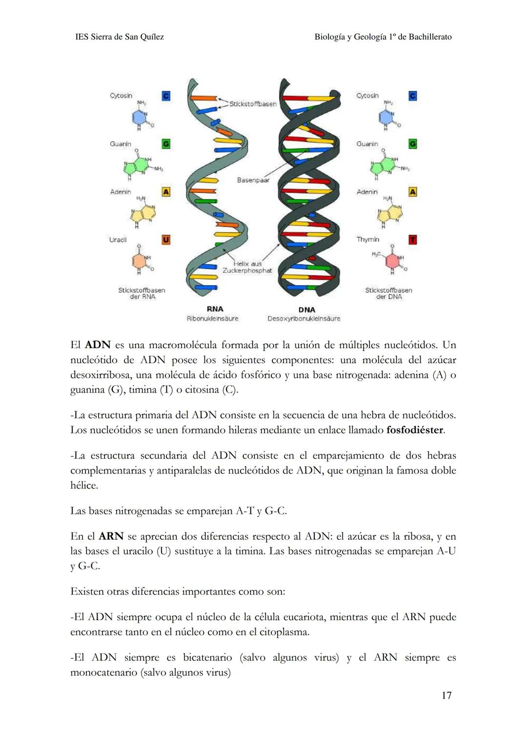 BIOLOGÍA Y
GEOLOGÍA 1º DE
BACHILLERATO
Bioelementos y biomoléculas:
composición química de la vida
IES Sierra de San Quílez
(Binéfar-Huesca)