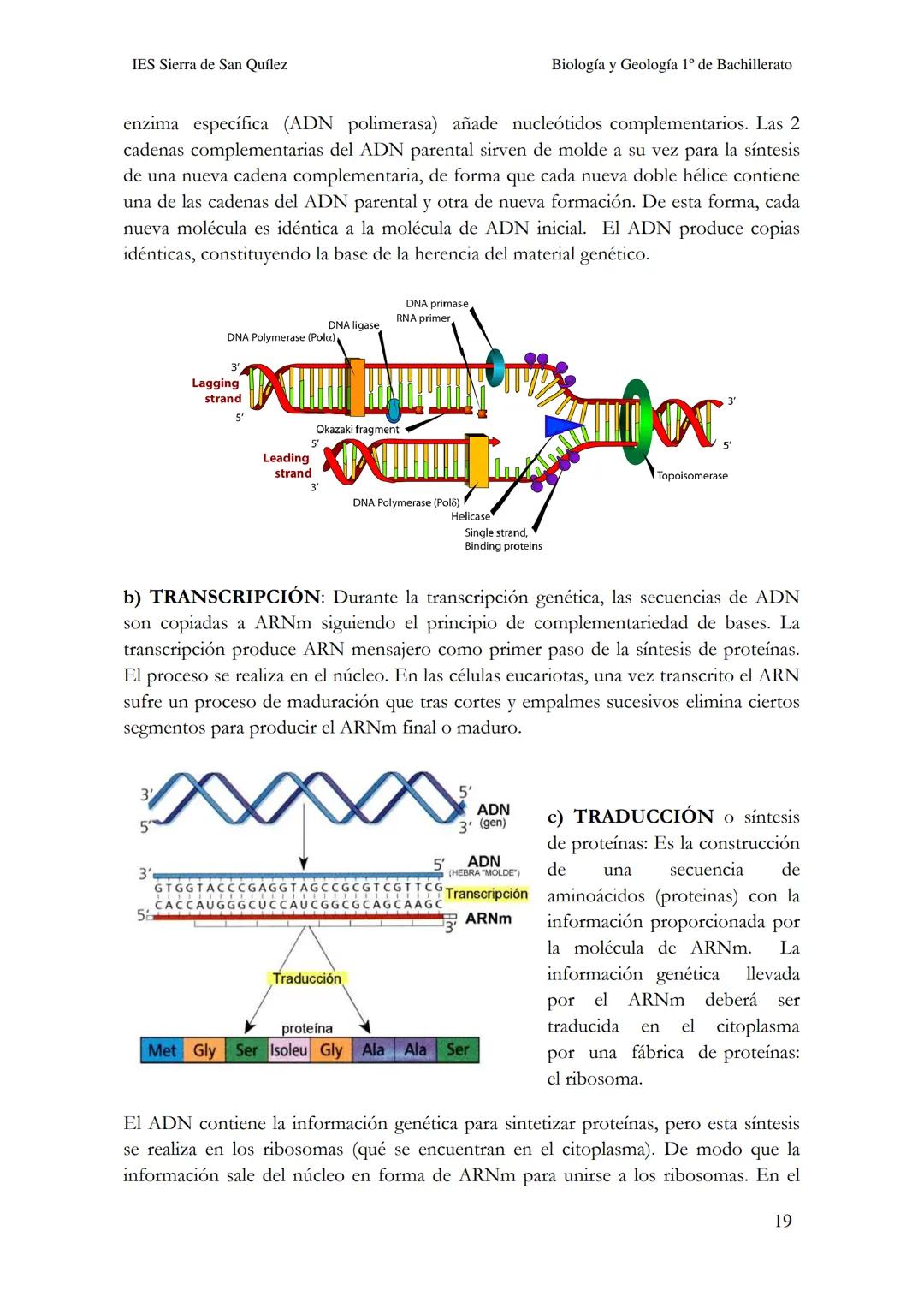 BIOLOGÍA Y
GEOLOGÍA 1º DE
BACHILLERATO
Bioelementos y biomoléculas:
composición química de la vida
IES Sierra de San Quílez
(Binéfar-Huesca)