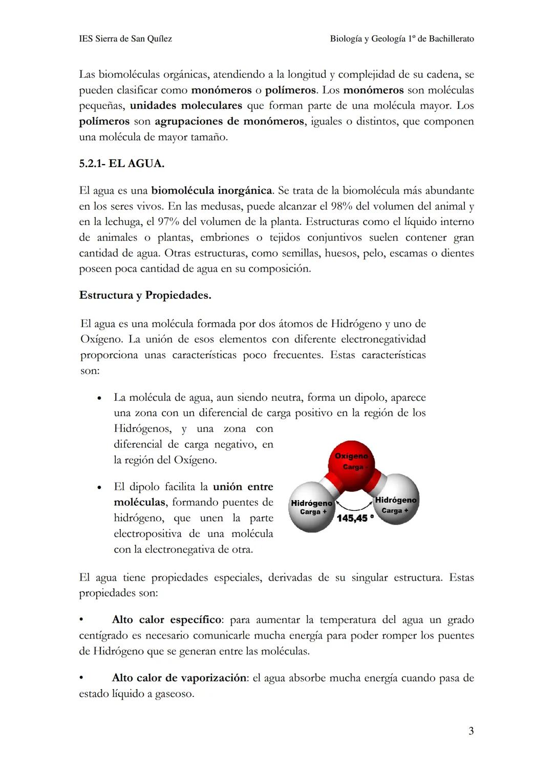 BIOLOGÍA Y
GEOLOGÍA 1º DE
BACHILLERATO
Bioelementos y biomoléculas:
composición química de la vida
IES Sierra de San Quílez
(Binéfar-Huesca)