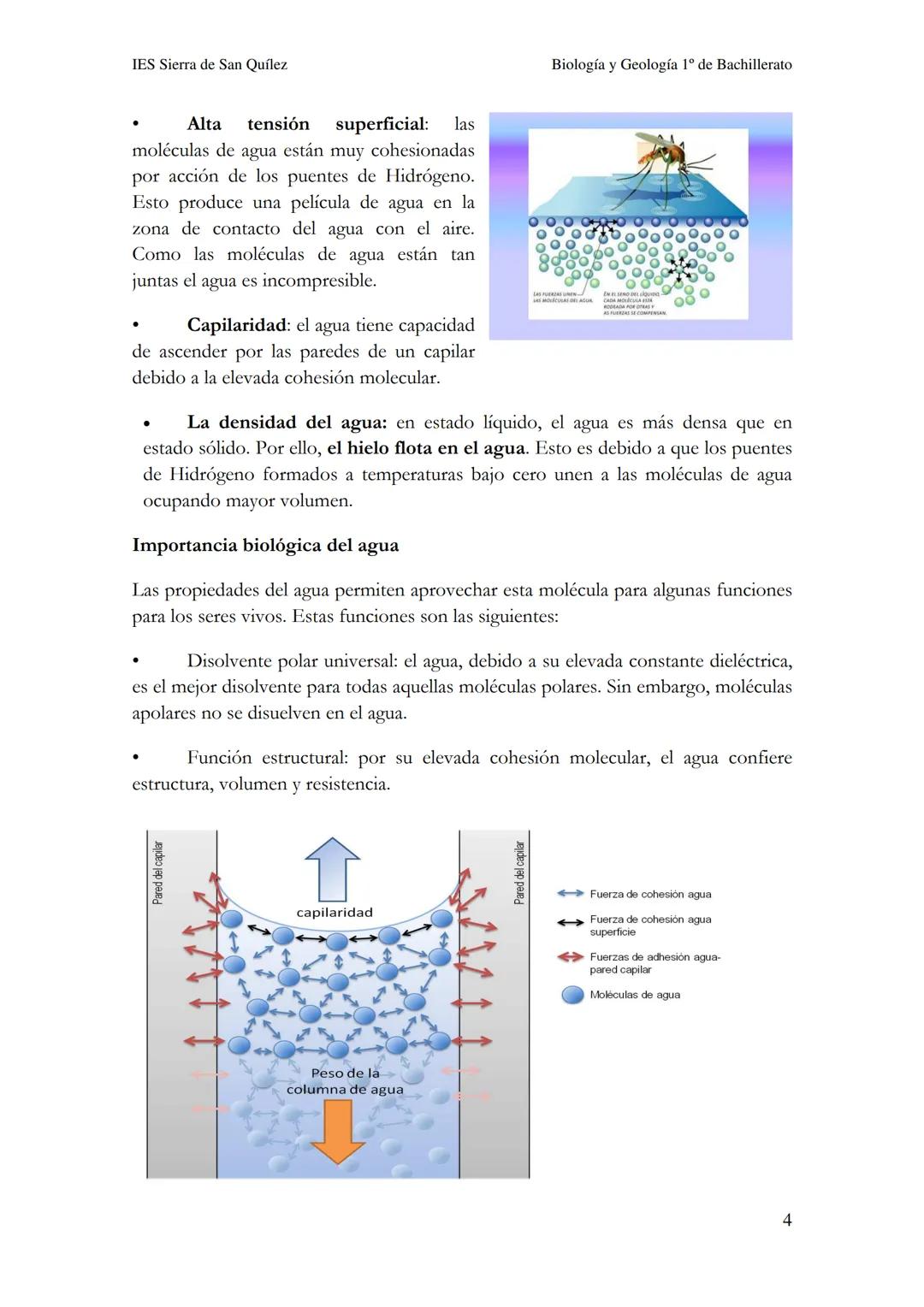 BIOLOGÍA Y
GEOLOGÍA 1º DE
BACHILLERATO
Bioelementos y biomoléculas:
composición química de la vida
IES Sierra de San Quílez
(Binéfar-Huesca)
