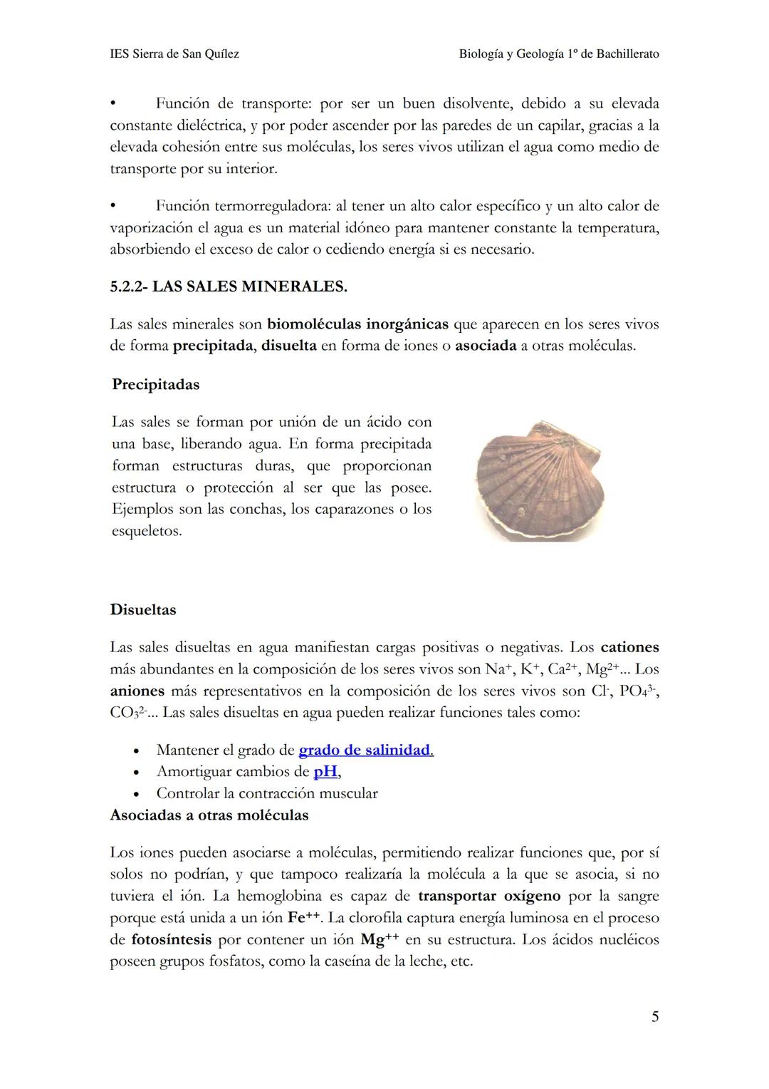 BIOLOGÍA Y
GEOLOGÍA 1º DE
BACHILLERATO
Bioelementos y biomoléculas:
composición química de la vida
IES Sierra de San Quílez
(Binéfar-Huesca)