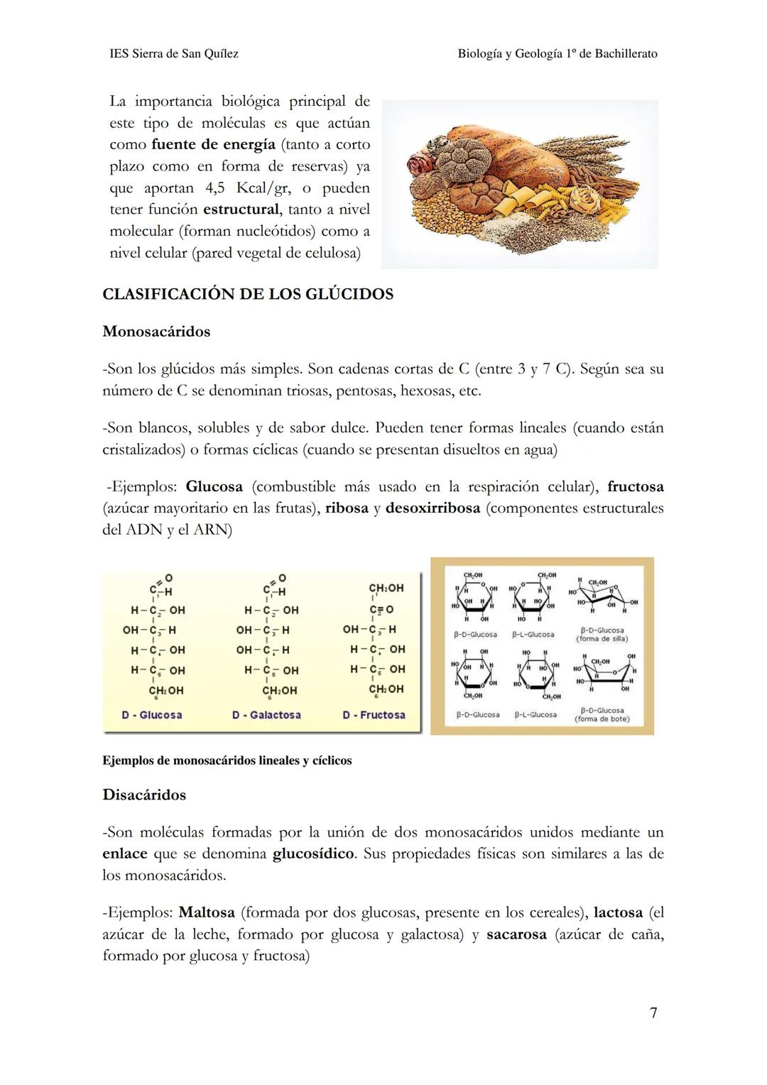BIOLOGÍA Y
GEOLOGÍA 1º DE
BACHILLERATO
Bioelementos y biomoléculas:
composición química de la vida
IES Sierra de San Quílez
(Binéfar-Huesca)