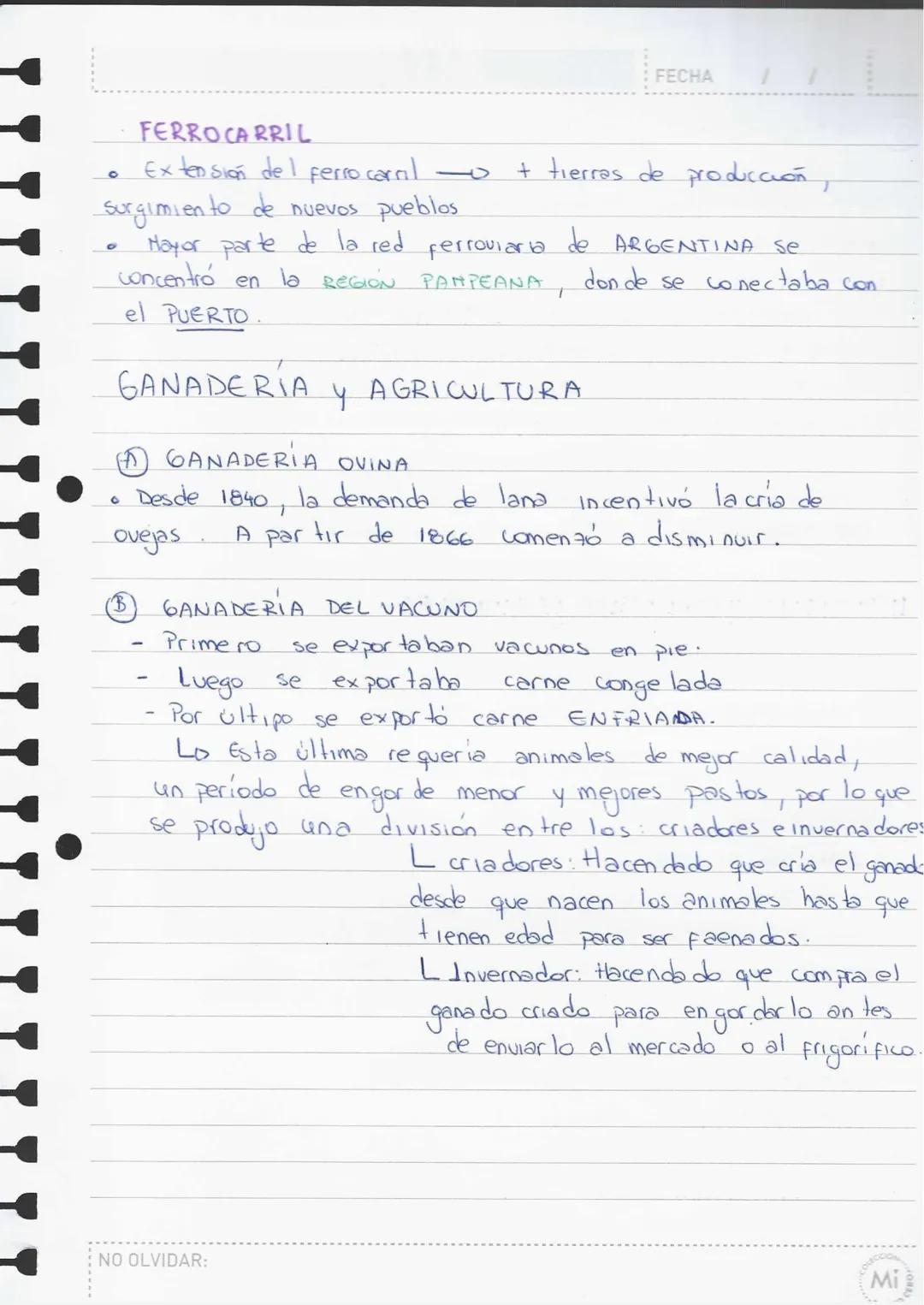 # ARGENTINA CONSERVA DORA (1880
—1916)
## ASPECTO ECONÓMICO
Durante el período 1880 — 1916, la economía argentina se especializó
en la exp