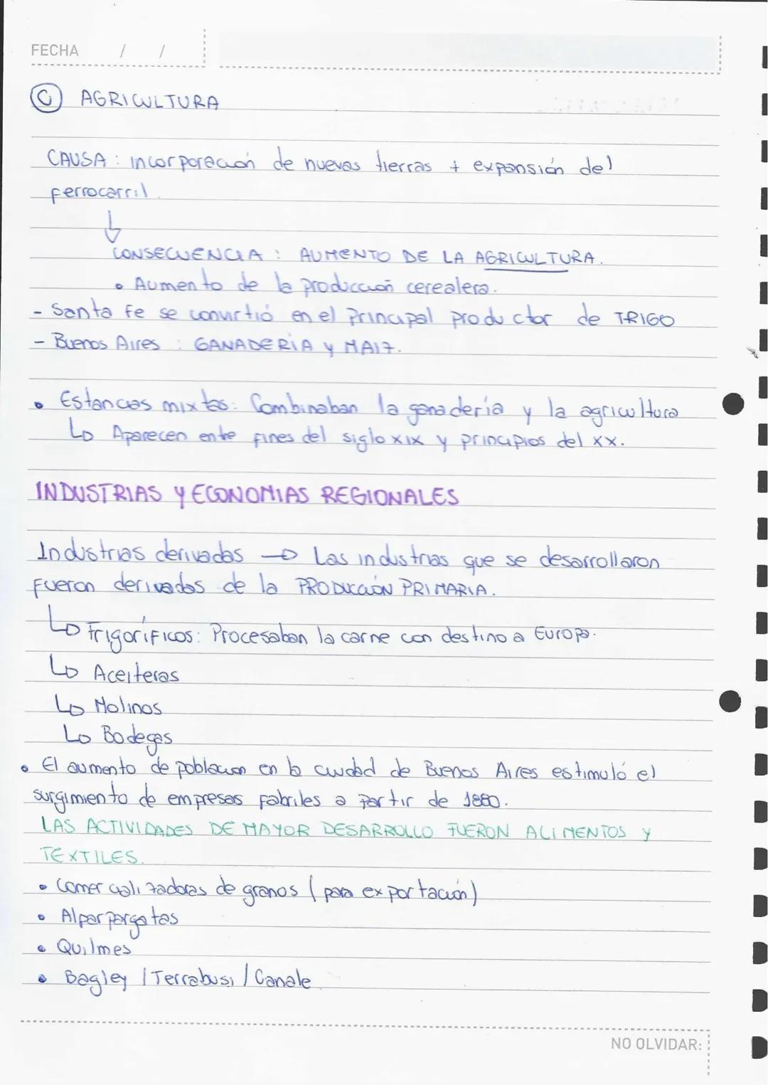# ARGENTINA CONSERVA DORA (1880
—1916)
## ASPECTO ECONÓMICO
Durante el período 1880 — 1916, la economía argentina se especializó
en la exp