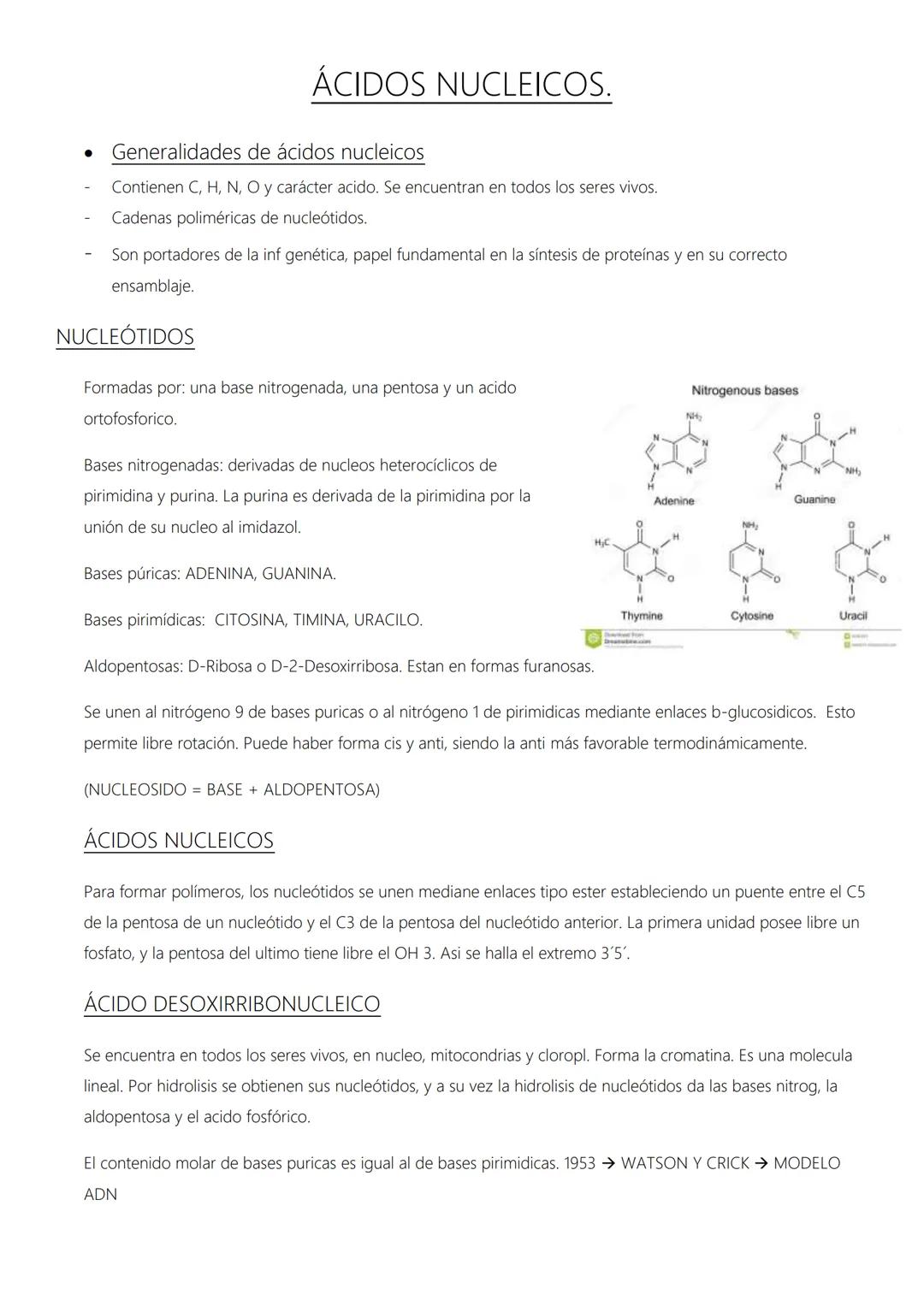 # ÁCIDOS NUCLEICOS.
* Generalidades de ácidos nucleicos
- Contienen C, H, N, O y carácter ácido. Se encuentran en todos los seres vivos.
-
