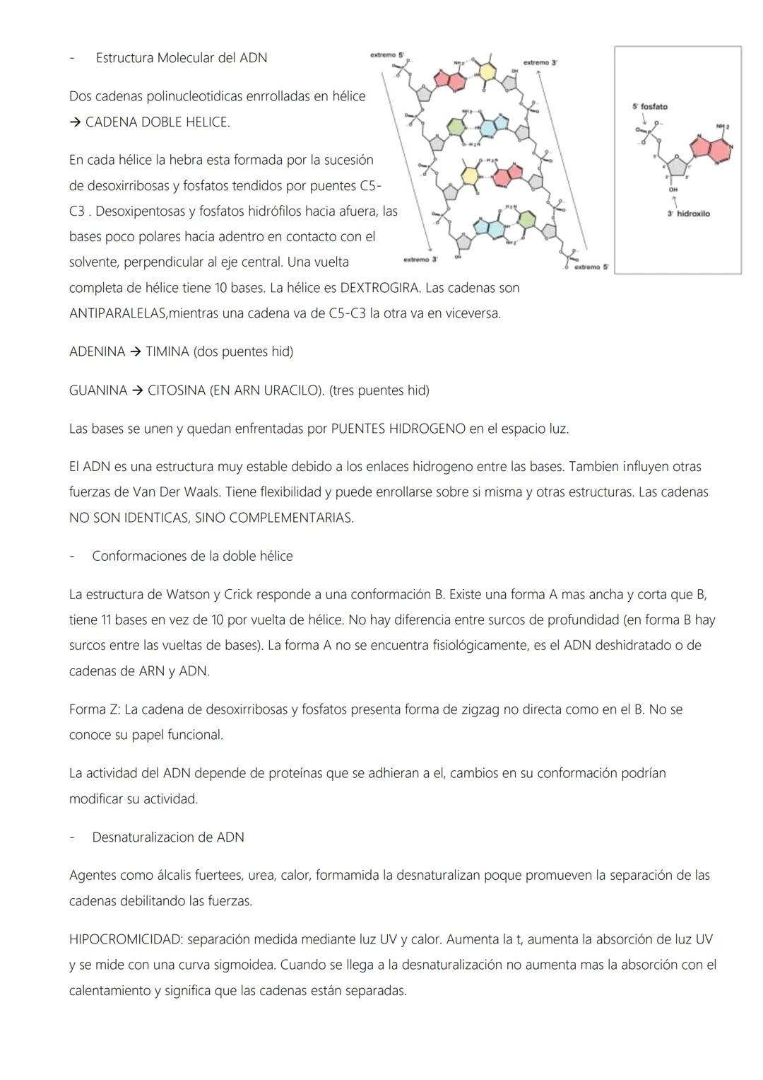 # ÁCIDOS NUCLEICOS.
* Generalidades de ácidos nucleicos
- Contienen C, H, N, O y carácter ácido. Se encuentran en todos los seres vivos.
-
