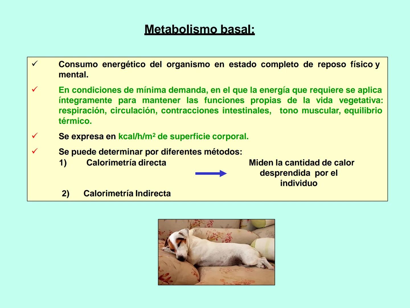 # APO 9
# Biofísica Termodinámica # ENERGÍA
- Eléctrica
- Mecánica
- Radiante
- Térmica
- Nuclear
- Química TERMODINÁMICA
>Rama de la Fís
