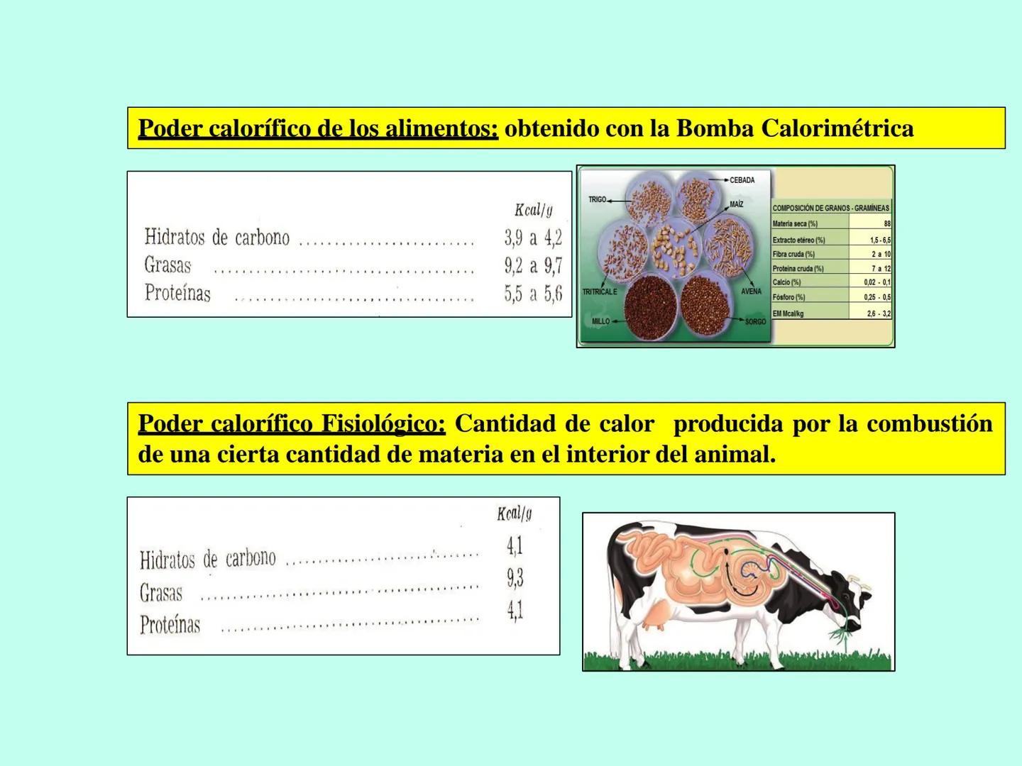 # APO 9
# Biofísica Termodinámica # ENERGÍA
- Eléctrica
- Mecánica
- Radiante
- Térmica
- Nuclear
- Química TERMODINÁMICA
>Rama de la Fís