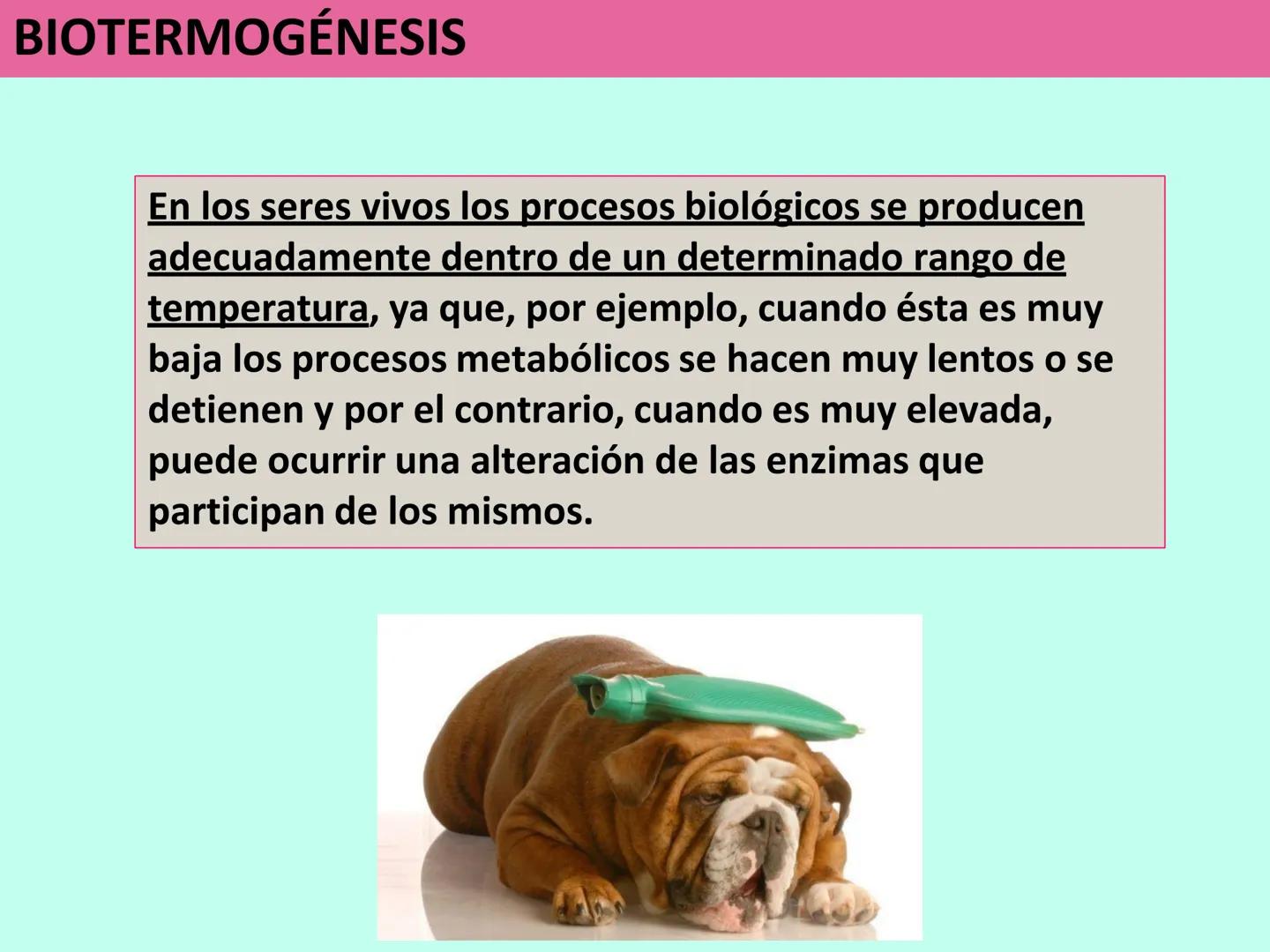# APO 9
# Biofísica Termodinámica # ENERGÍA
- Eléctrica
- Mecánica
- Radiante
- Térmica
- Nuclear
- Química TERMODINÁMICA
>Rama de la Fís