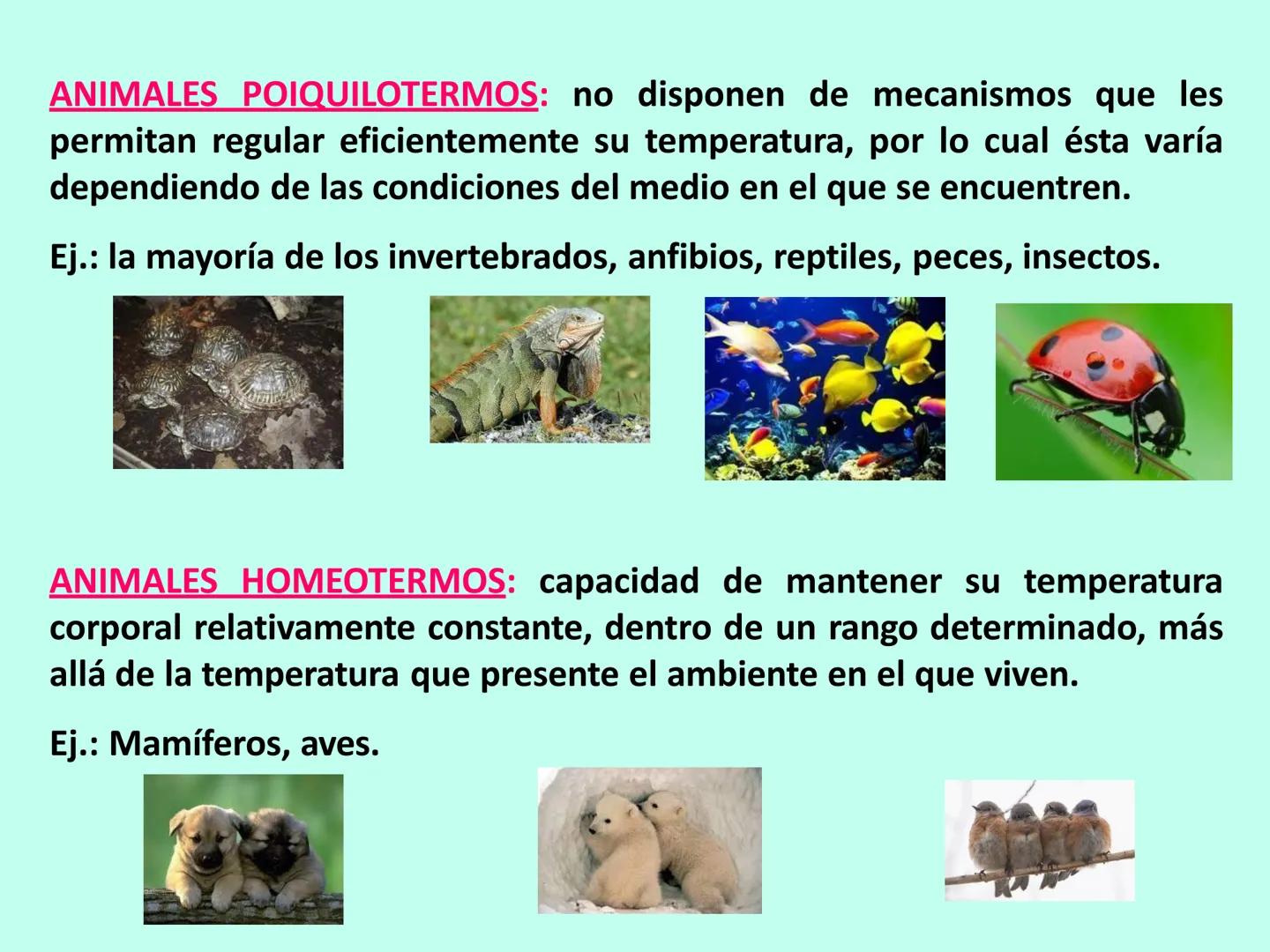 # APO 9
# Biofísica Termodinámica # ENERGÍA
- Eléctrica
- Mecánica
- Radiante
- Térmica
- Nuclear
- Química TERMODINÁMICA
>Rama de la Fís