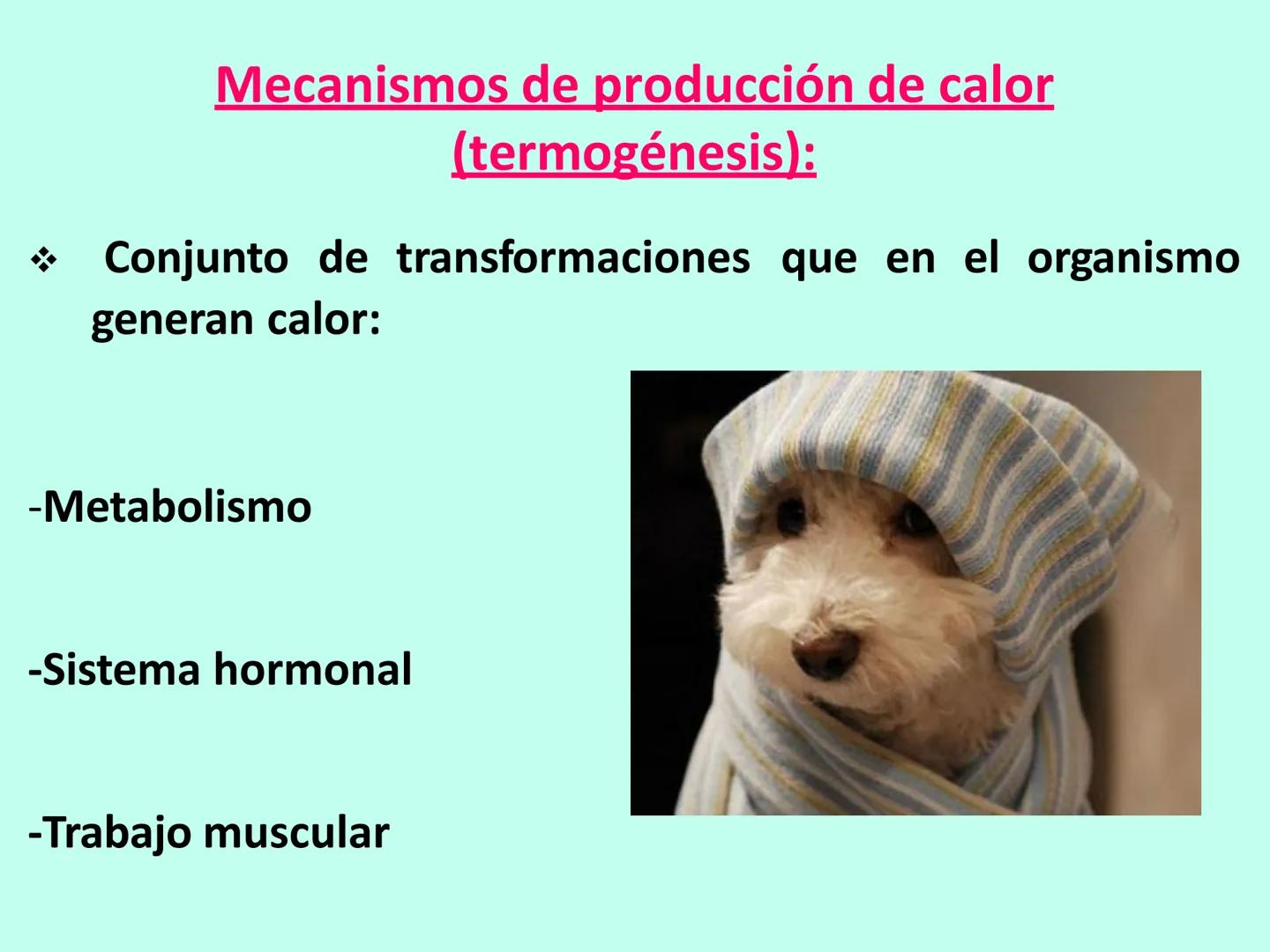 # APO 9
# Biofísica Termodinámica # ENERGÍA
- Eléctrica
- Mecánica
- Radiante
- Térmica
- Nuclear
- Química TERMODINÁMICA
>Rama de la Fís