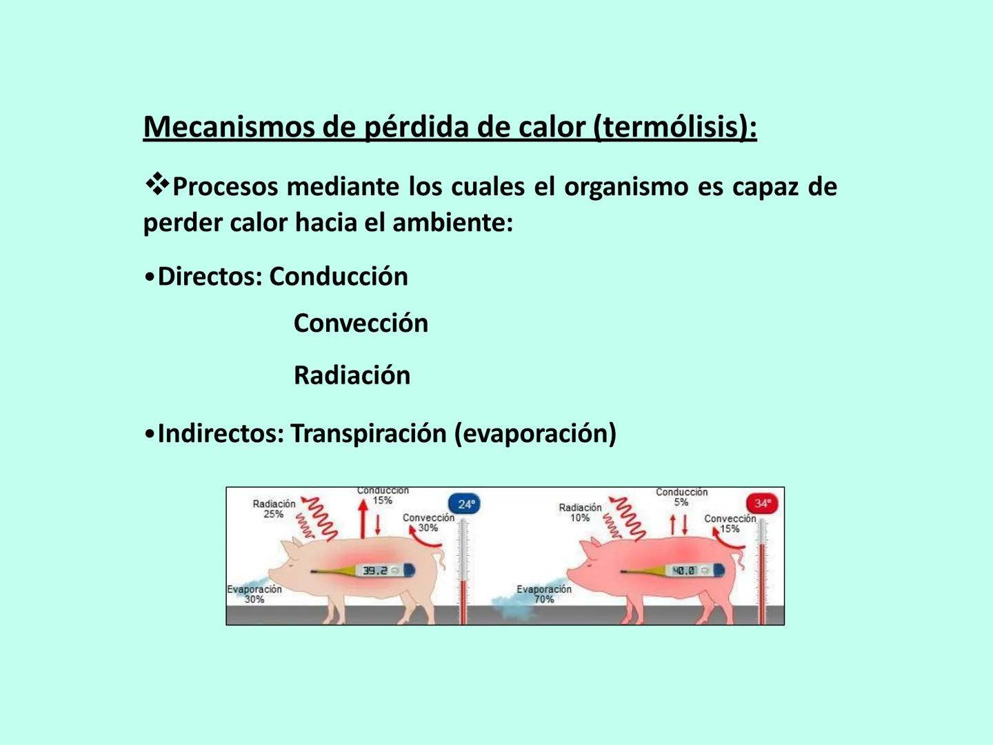 # APO 9
# Biofísica Termodinámica # ENERGÍA
- Eléctrica
- Mecánica
- Radiante
- Térmica
- Nuclear
- Química TERMODINÁMICA
>Rama de la Fís