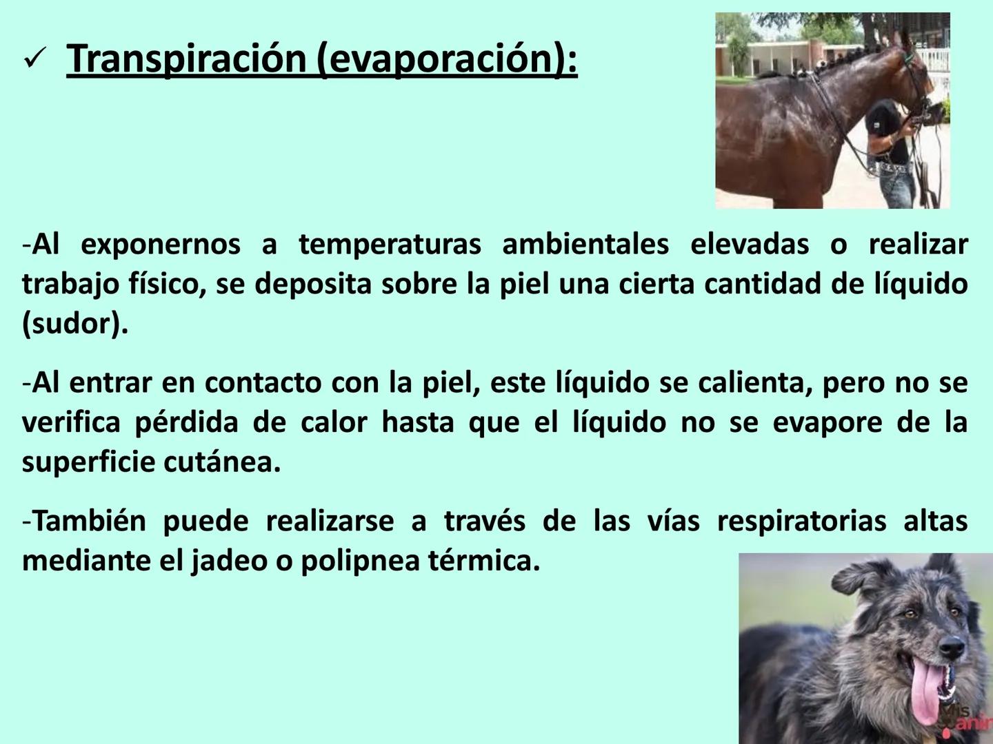 # APO 9
# Biofísica Termodinámica # ENERGÍA
- Eléctrica
- Mecánica
- Radiante
- Térmica
- Nuclear
- Química TERMODINÁMICA
>Rama de la Fís