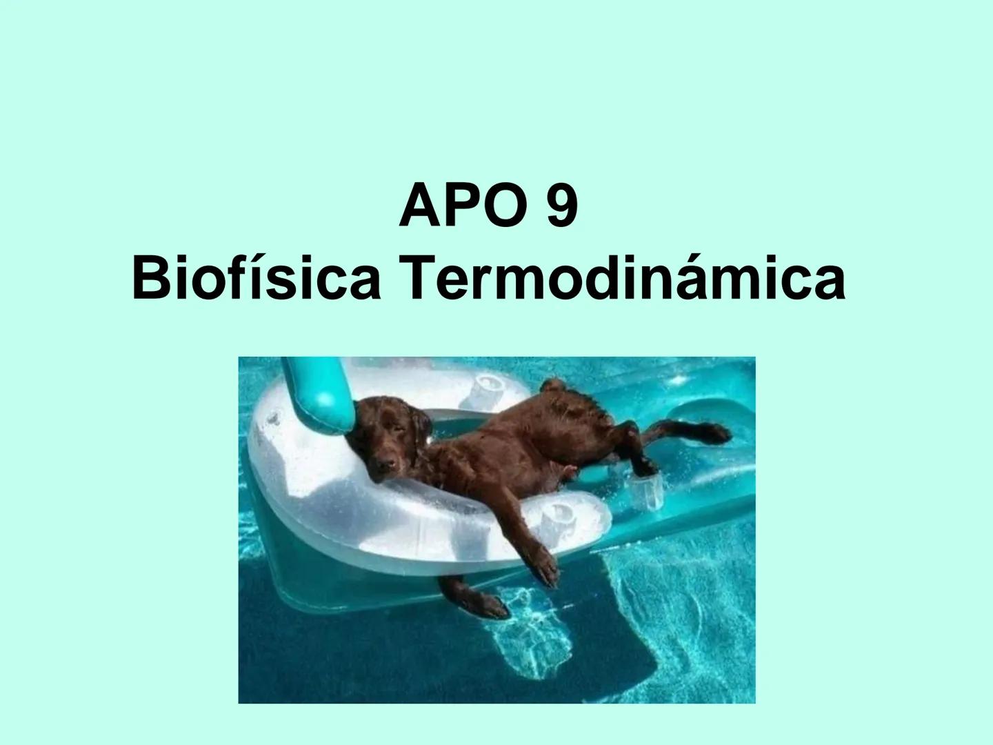 # APO 9
# Biofísica Termodinámica # ENERGÍA
- Eléctrica
- Mecánica
- Radiante
- Térmica
- Nuclear
- Química TERMODINÁMICA
>Rama de la Fís