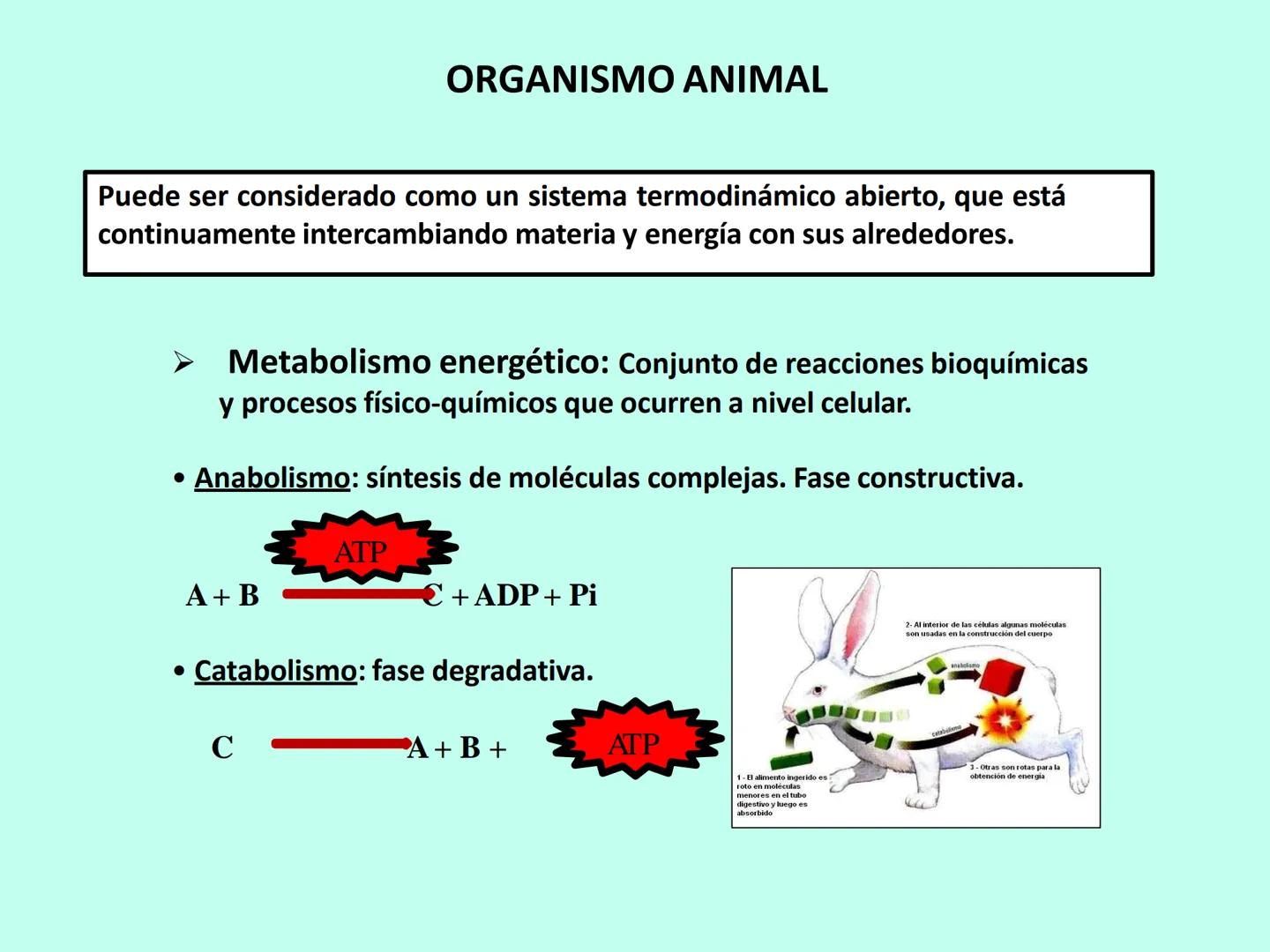 # APO 9
# Biofísica Termodinámica # ENERGÍA
- Eléctrica
- Mecánica
- Radiante
- Térmica
- Nuclear
- Química TERMODINÁMICA
>Rama de la Fís