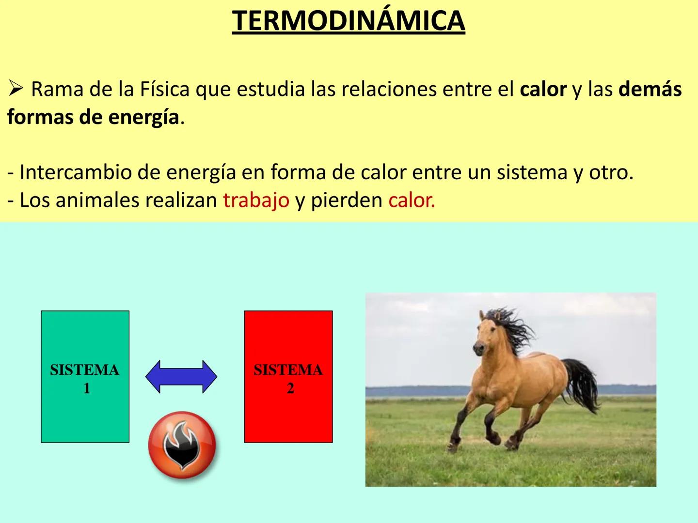 # APO 9
# Biofísica Termodinámica # ENERGÍA
- Eléctrica
- Mecánica
- Radiante
- Térmica
- Nuclear
- Química TERMODINÁMICA
>Rama de la Fís