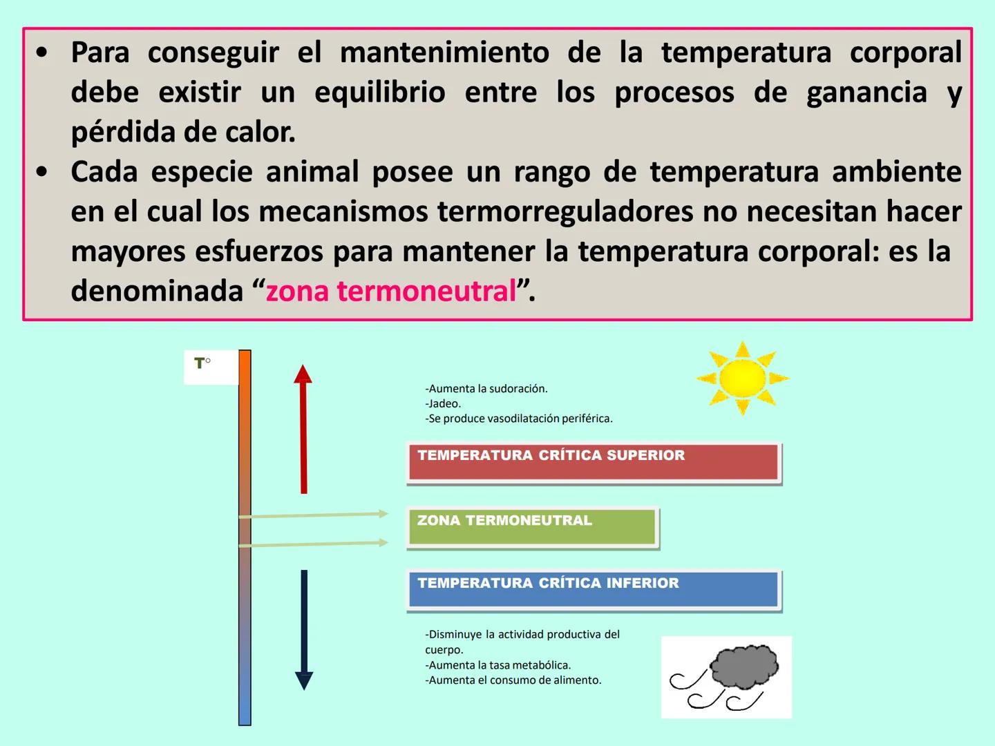 # APO 9
# Biofísica Termodinámica # ENERGÍA
- Eléctrica
- Mecánica
- Radiante
- Térmica
- Nuclear
- Química TERMODINÁMICA
>Rama de la Fís