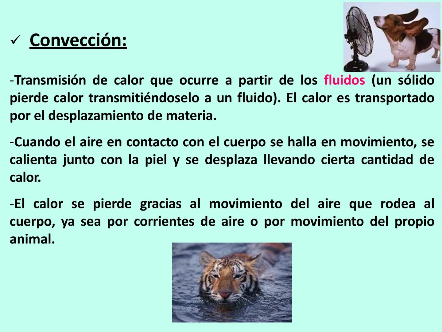 # APO 9
# Biofísica Termodinámica # ENERGÍA
- Eléctrica
- Mecánica
- Radiante
- Térmica
- Nuclear
- Química TERMODINÁMICA
>Rama de la Fís