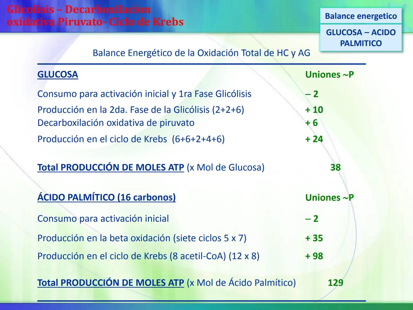 # Ciclo de Krebs Ciclo de Krebs
Acetil-CoA
Proteínas - Polisacáridos - Grasas
Aminoácidos - Monosacáridos - Ácidos Grasos
Acetil CoA
Metabol