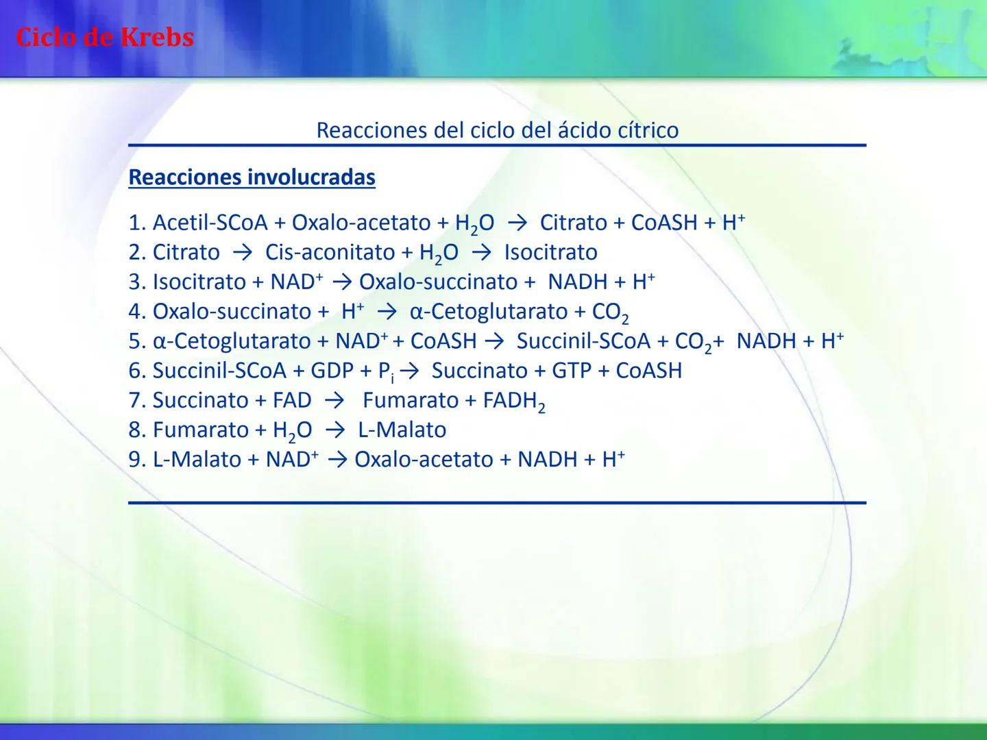 # Ciclo de Krebs Ciclo de Krebs
Acetil-CoA
Proteínas - Polisacáridos - Grasas
Aminoácidos - Monosacáridos - Ácidos Grasos
Acetil CoA
Metabol