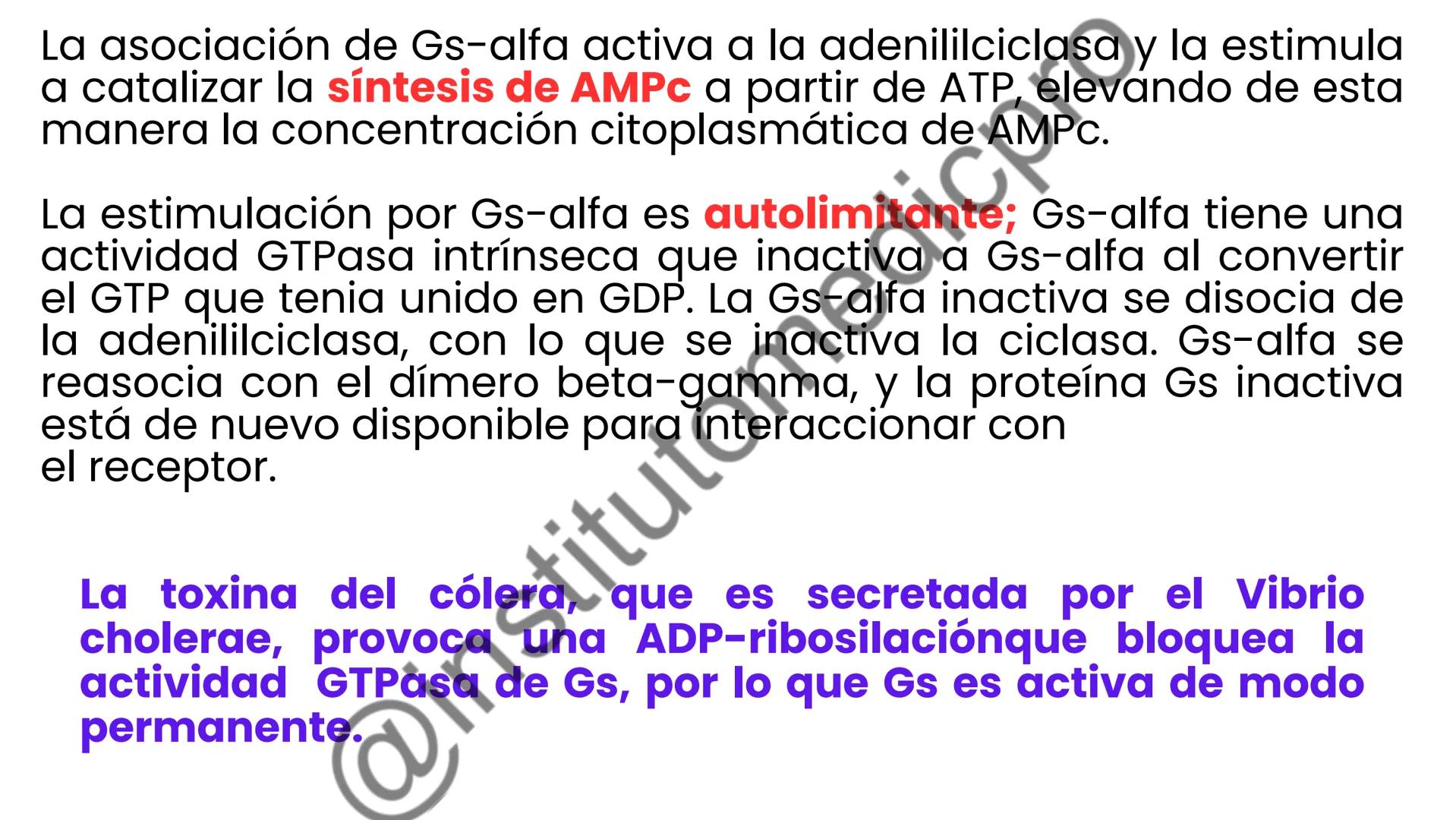 # COMUNICACIÓN
(SEÑALIZACIÓN)
CELULAR
Por Guiseppy Samuel Las células son seres muy sociales por lo que la capacidad para recibir y
actuar