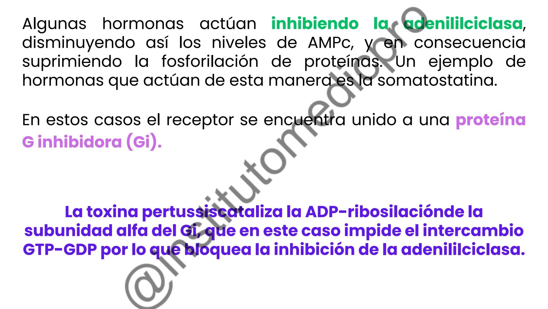 # COMUNICACIÓN
(SEÑALIZACIÓN)
CELULAR
Por Guiseppy Samuel Las células son seres muy sociales por lo que la capacidad para recibir y
actuar