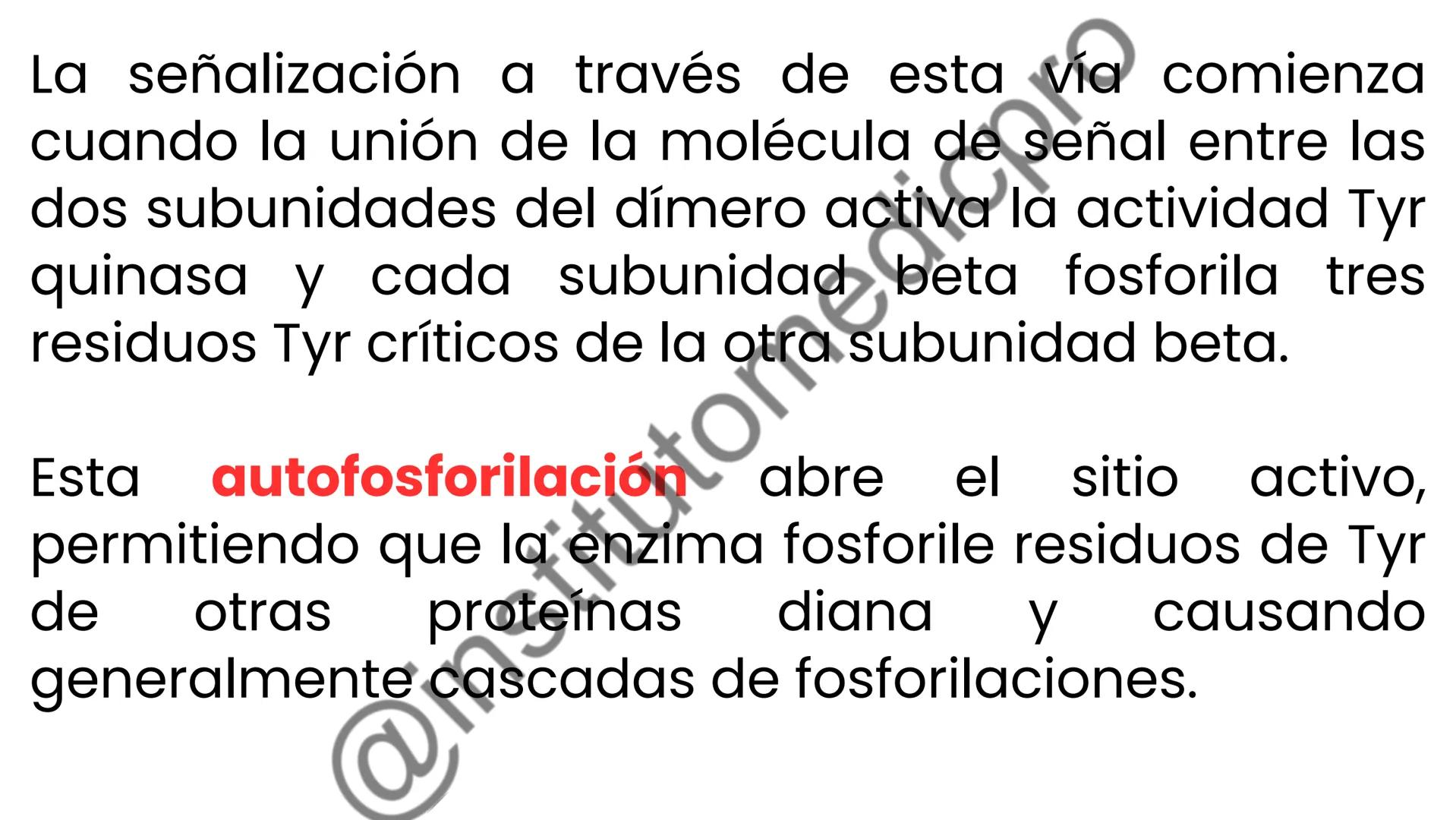 # COMUNICACIÓN
(SEÑALIZACIÓN)
CELULAR
Por Guiseppy Samuel Las células son seres muy sociales por lo que la capacidad para recibir y
actuar