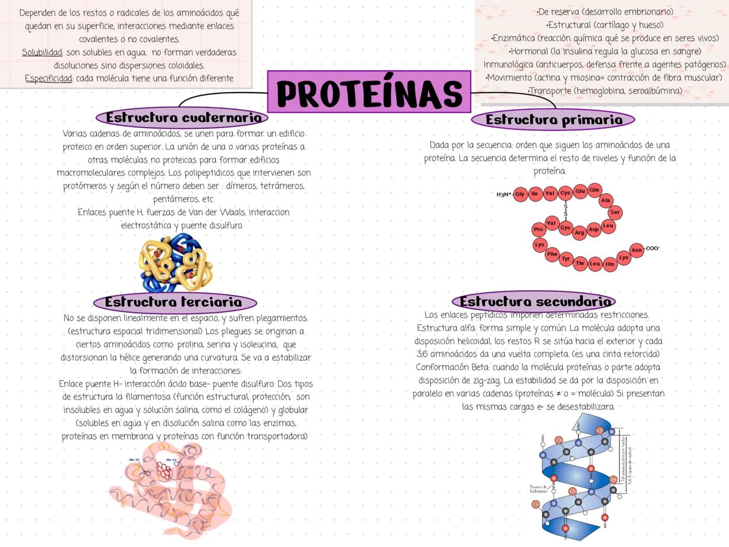 Dependen de los restos o radicales de los aminoácidos qué
quedan en su superficie, interacciones mediante enlaces
covalentes o no covalentes