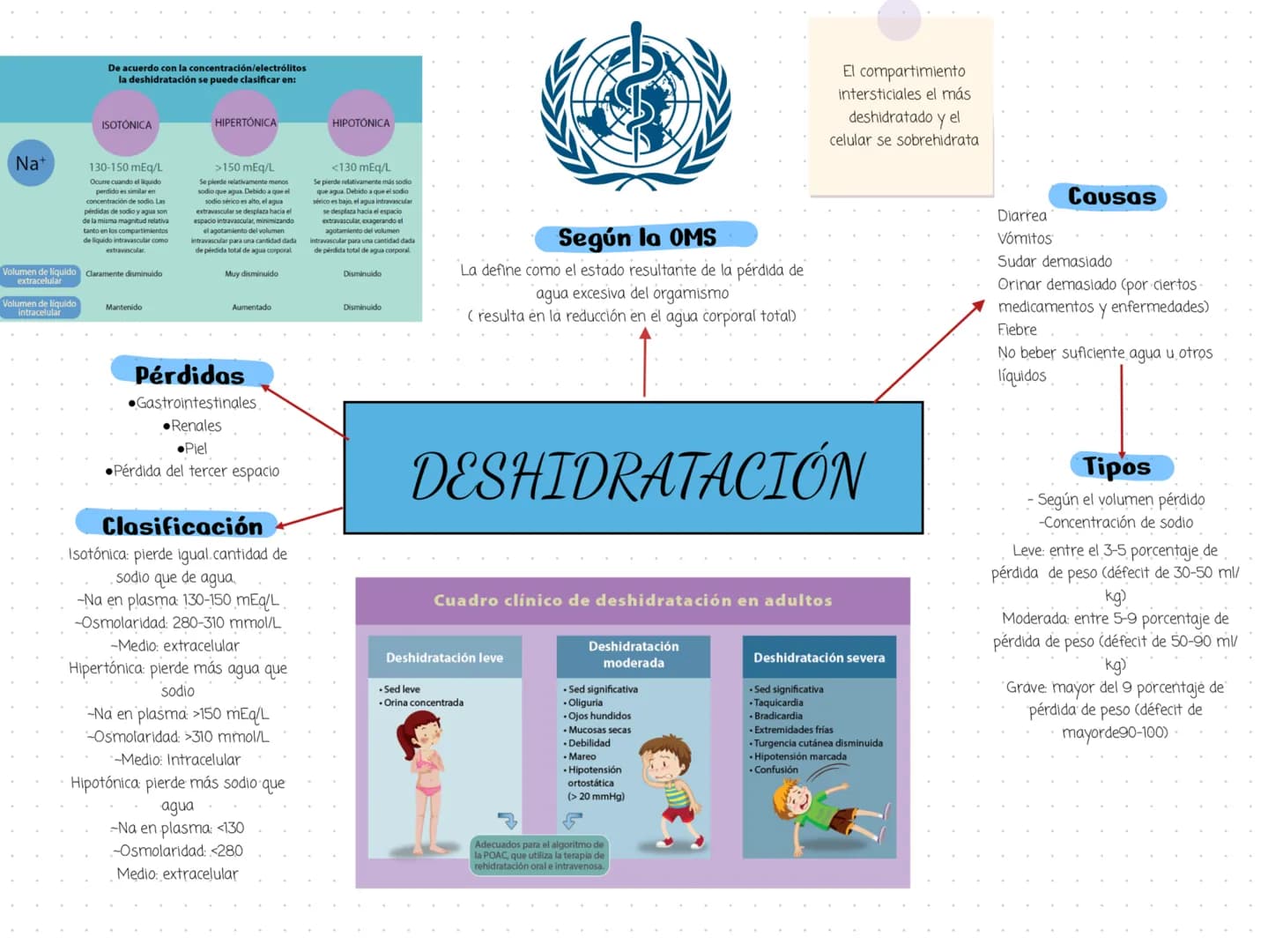 De acuerdo con la concentración/electrólitos
la deshidratación se puede clasificar en:
ISOTÓNICA
HIPERTÓNICA
HIPOTÓNICA
El compartimiento
in