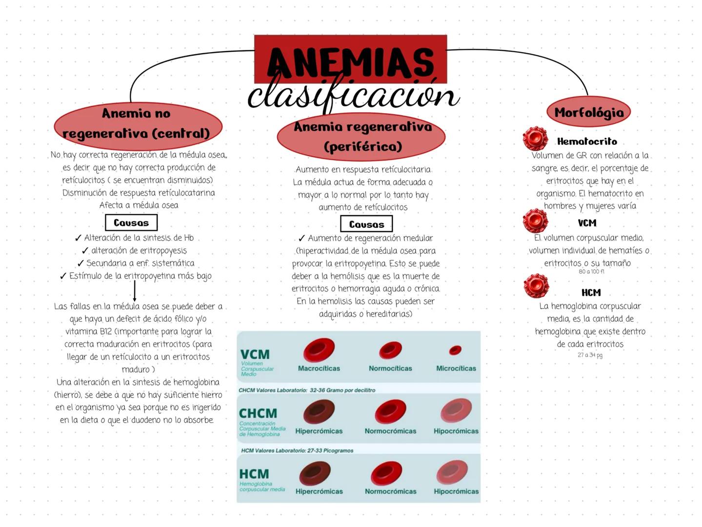 ## ANEMIAS
clasificacion
### Anemia no
regenerativa (central)
No hay correcta regeneración de la médula osea.
es decir que no hay correcta