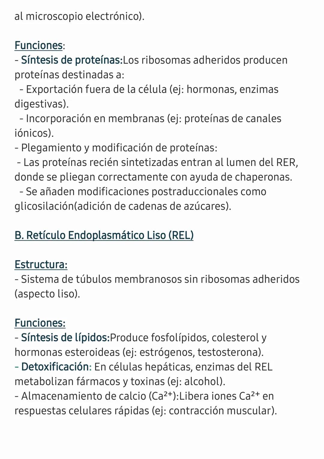 LA CÉLULA
La célula es la unidad estructural, funcional y básica de todos
los seres vivos. Es el componente más pequeño que puede
realizar l