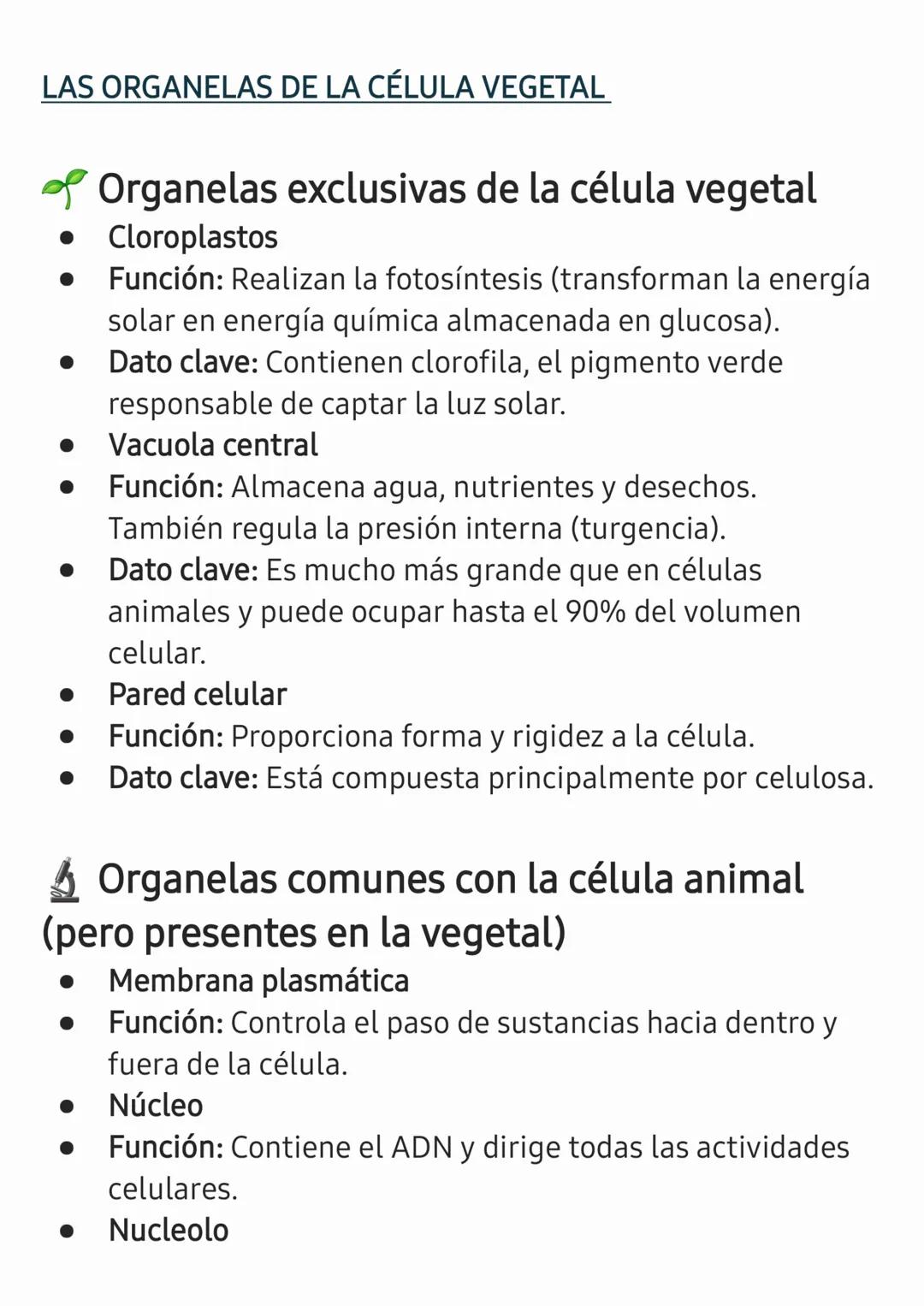 LA CÉLULA
La célula es la unidad estructural, funcional y básica de todos
los seres vivos. Es el componente más pequeño que puede
realizar l