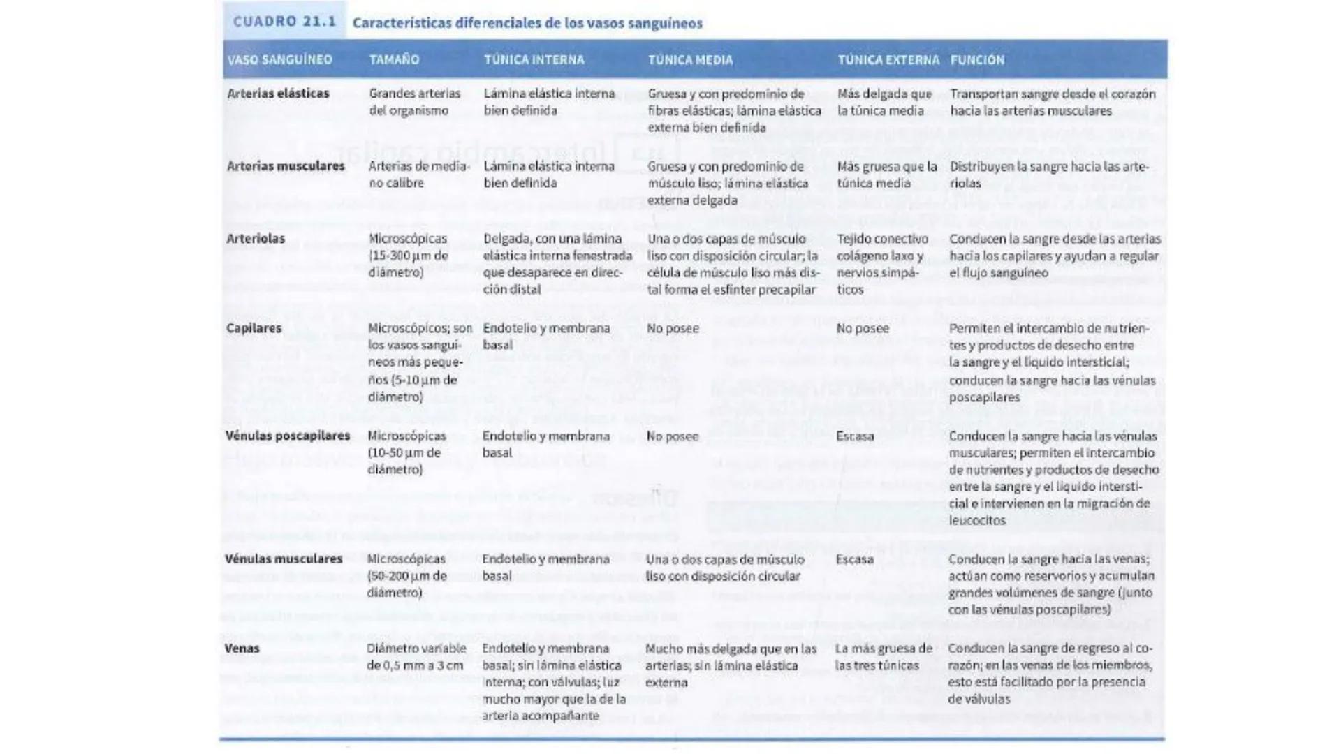 # SISTEMA
CIRCULATORIO
Parte I
ISFT N° 180
Materia: Biología Humana
Prof. Carla Lorena Galard El Tejido Sanguíneo
- Funciones de la sa
