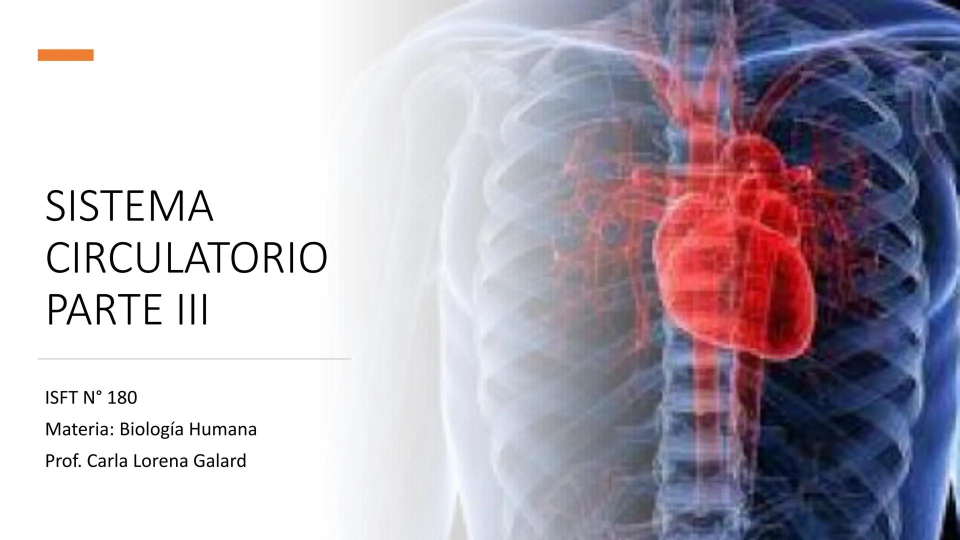 # SISTEMA
CIRCULATORIO
Parte I
ISFT N° 180
Materia: Biología Humana
Prof. Carla Lorena Galard El Tejido Sanguíneo
- Funciones de la sa