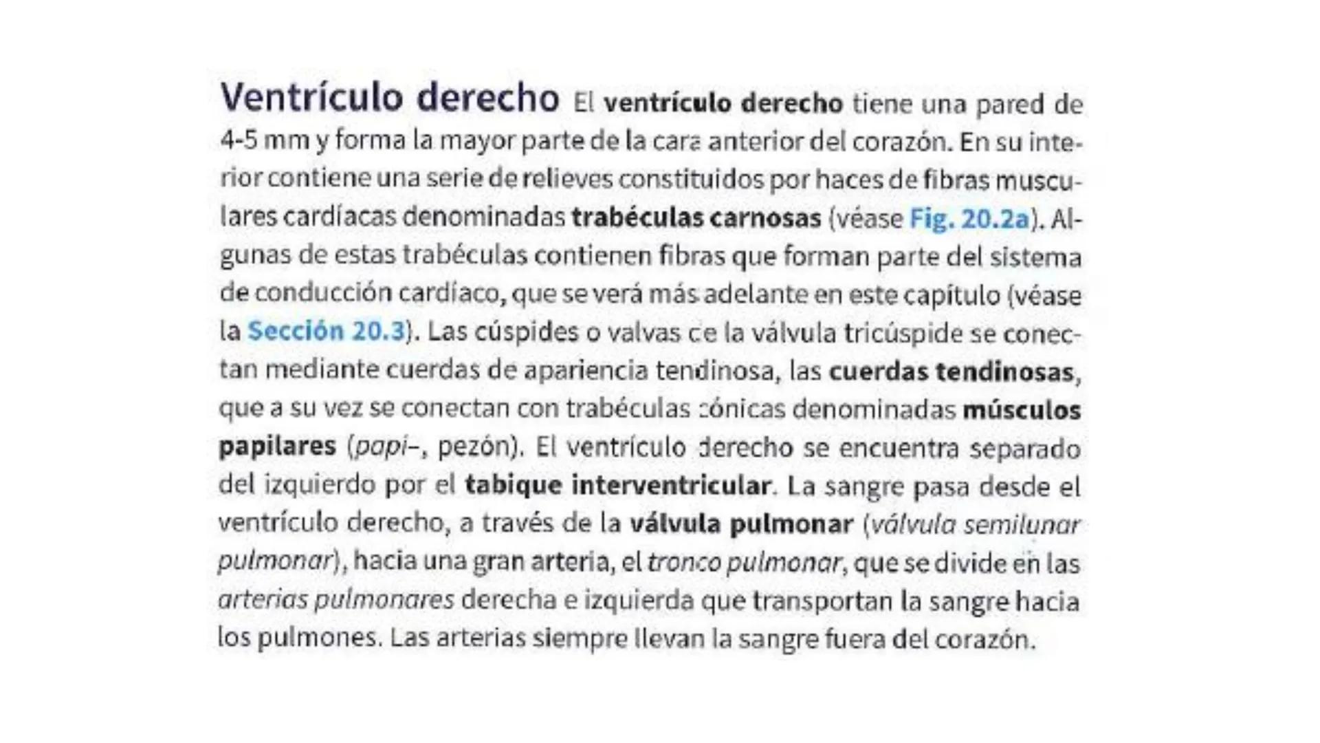 # SISTEMA
CIRCULATORIO
Parte I
ISFT N° 180
Materia: Biología Humana
Prof. Carla Lorena Galard El Tejido Sanguíneo
- Funciones de la sa
