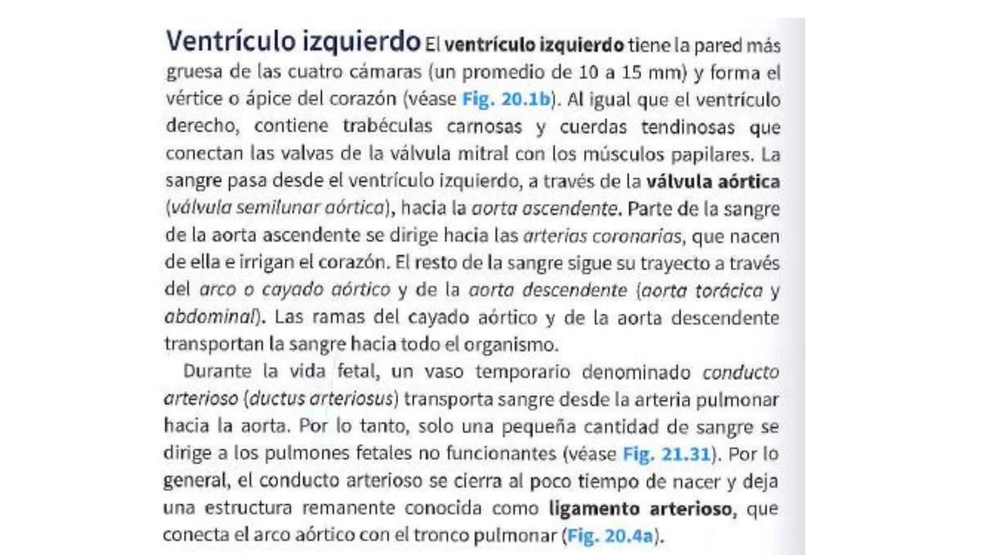 # SISTEMA
CIRCULATORIO
Parte I
ISFT N° 180
Materia: Biología Humana
Prof. Carla Lorena Galard El Tejido Sanguíneo
- Funciones de la sa