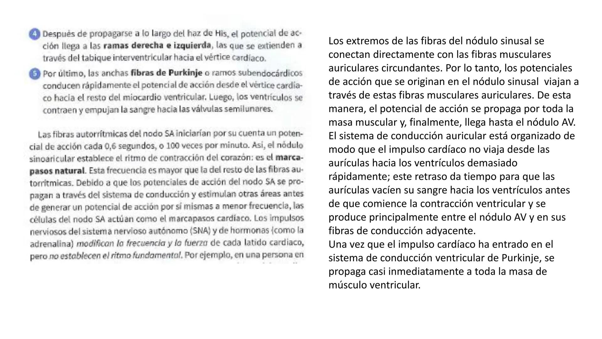 # SISTEMA
CIRCULATORIO
Parte I
ISFT N° 180
Materia: Biología Humana
Prof. Carla Lorena Galard El Tejido Sanguíneo
- Funciones de la sa