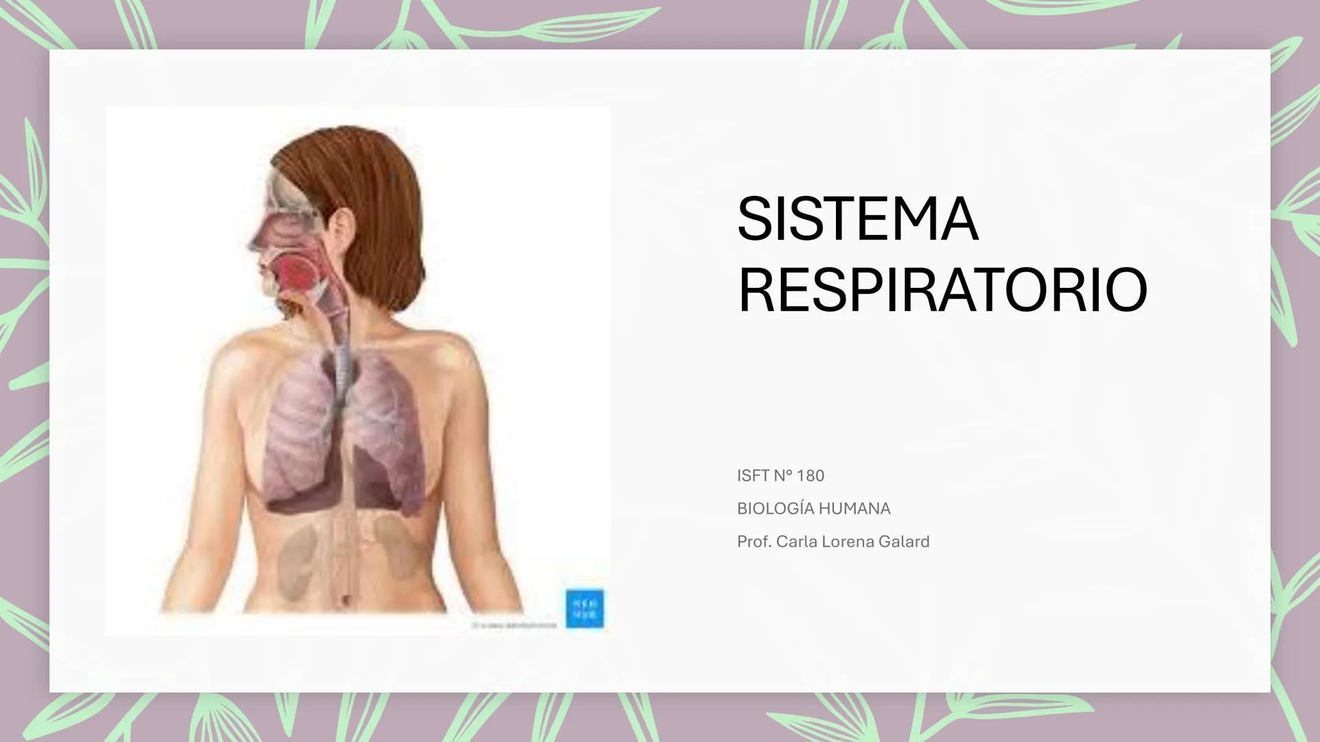 # SISTEMA
# RESPIRATORIO
ISFT N° 180
BIOLOGIA HUMANA
Prof. Carla Lorena Galard Aparato respiratorio y homeostasis
El aparato respiratorio