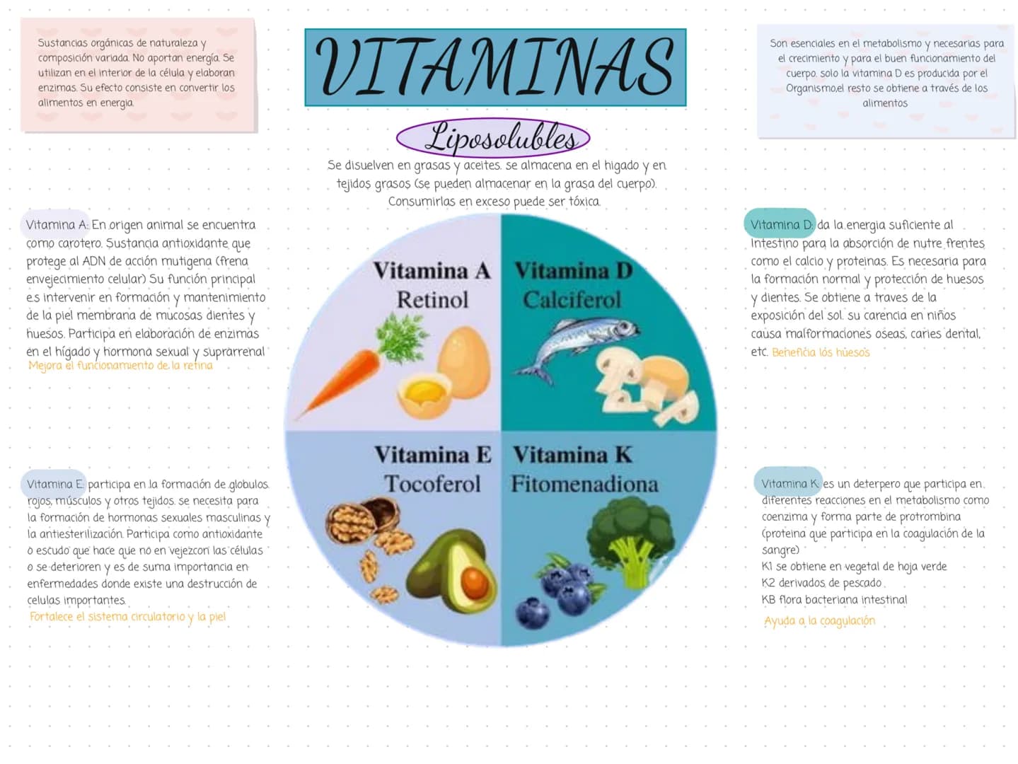 Sustancias orgánicas de naturaleza y
composición variada. No aportan energía. Se
utilizan en el interior de la célula y elaboran
enzimas. Su