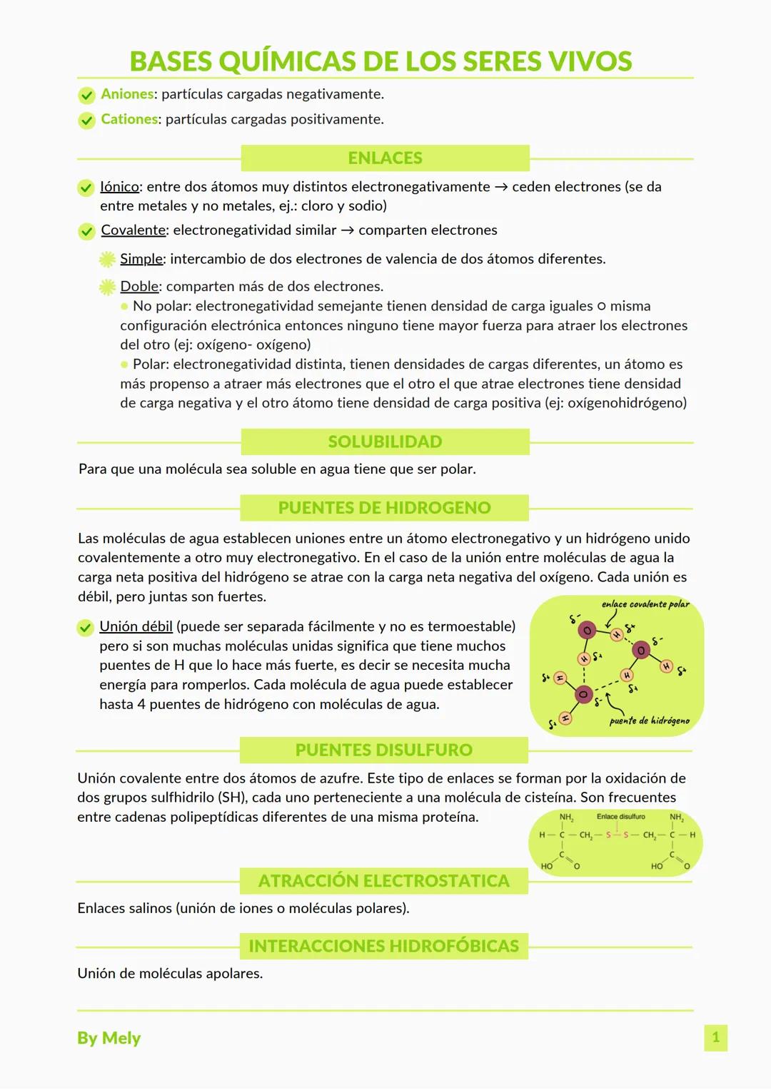 Bases químicas de los seres vivos, proteinas, células, metabolismo, información genética y más