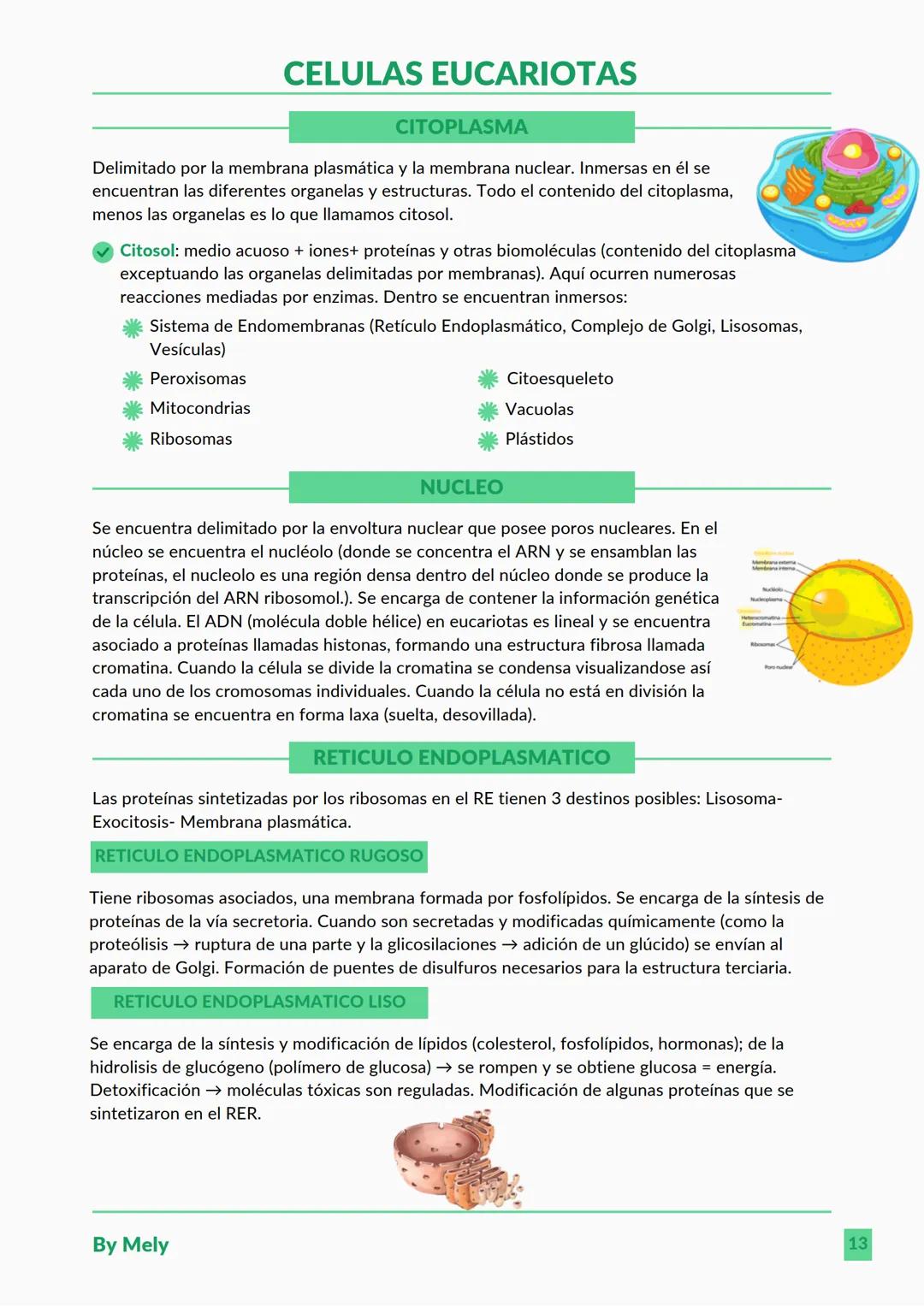 BASES QUÍMICAS DE LOS SERES VIVOS
Aniones: partículas cargadas negativamente.
Cationes: partículas cargadas positivamente.
ENLACES
lónico: e