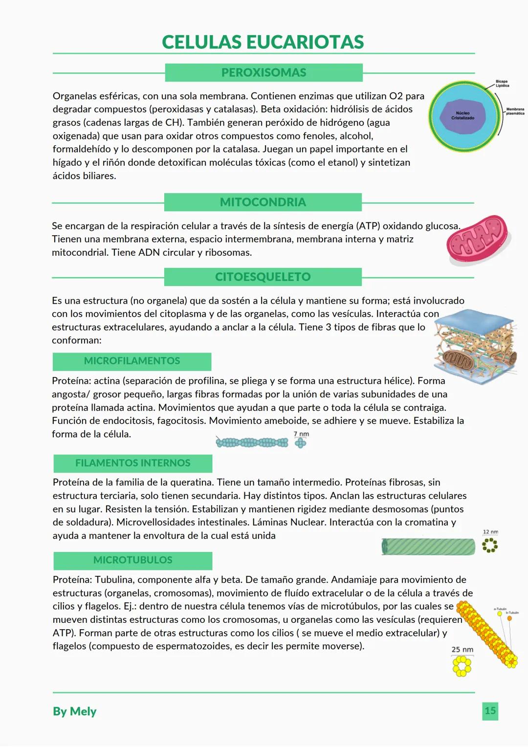 BASES QUÍMICAS DE LOS SERES VIVOS
Aniones: partículas cargadas negativamente.
Cationes: partículas cargadas positivamente.
ENLACES
lónico: e