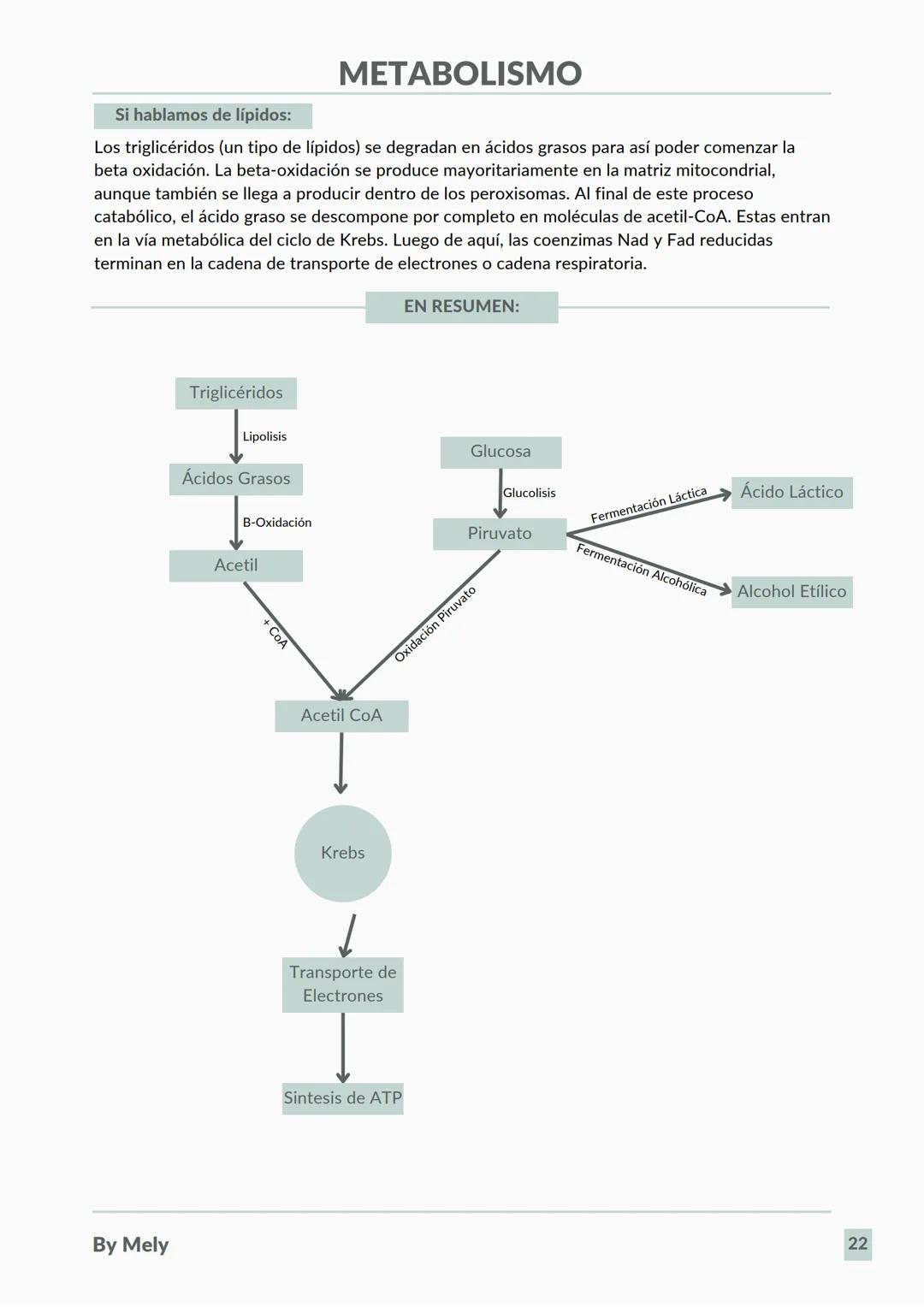 BASES QUÍMICAS DE LOS SERES VIVOS
Aniones: partículas cargadas negativamente.
Cationes: partículas cargadas positivamente.
ENLACES
lónico: e