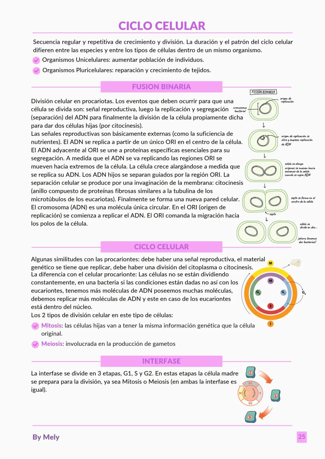 BASES QUÍMICAS DE LOS SERES VIVOS
Aniones: partículas cargadas negativamente.
Cationes: partículas cargadas positivamente.
ENLACES
lónico: e