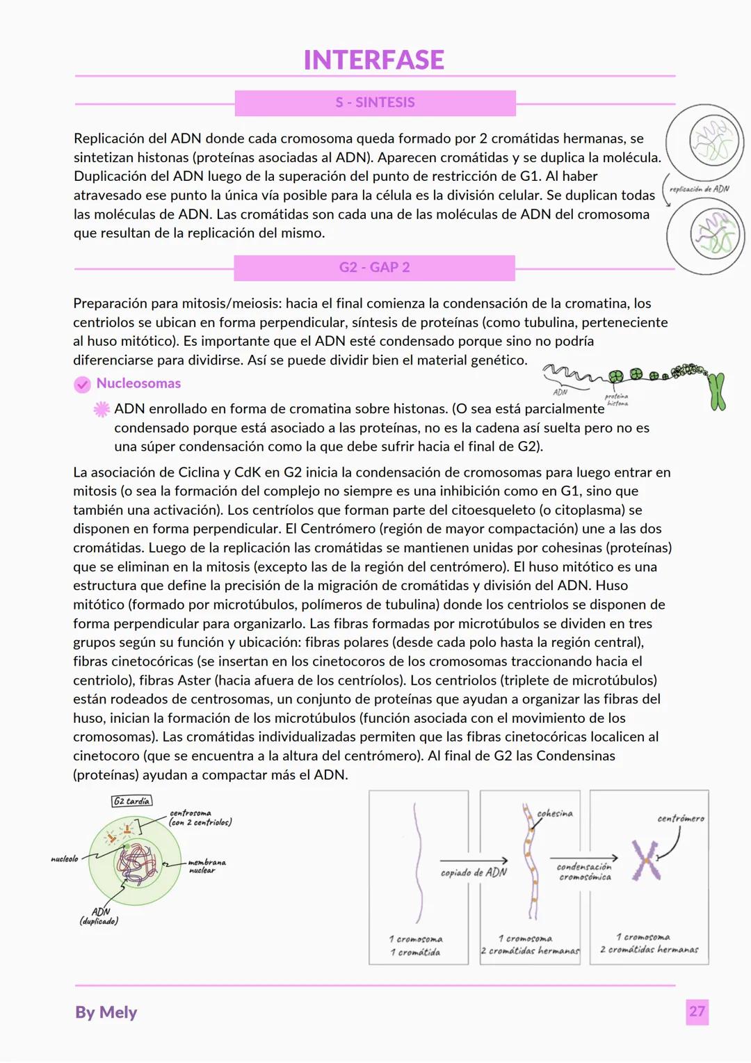 BASES QUÍMICAS DE LOS SERES VIVOS
Aniones: partículas cargadas negativamente.
Cationes: partículas cargadas positivamente.
ENLACES
lónico: e