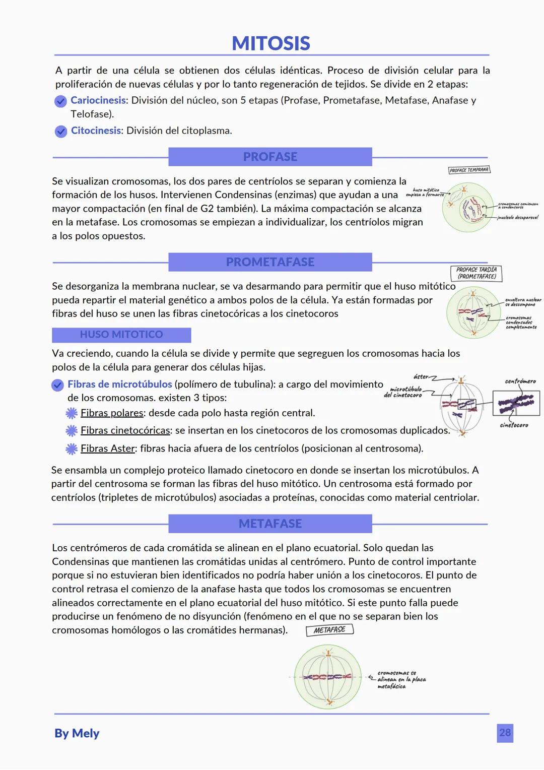 BASES QUÍMICAS DE LOS SERES VIVOS
Aniones: partículas cargadas negativamente.
Cationes: partículas cargadas positivamente.
ENLACES
lónico: e